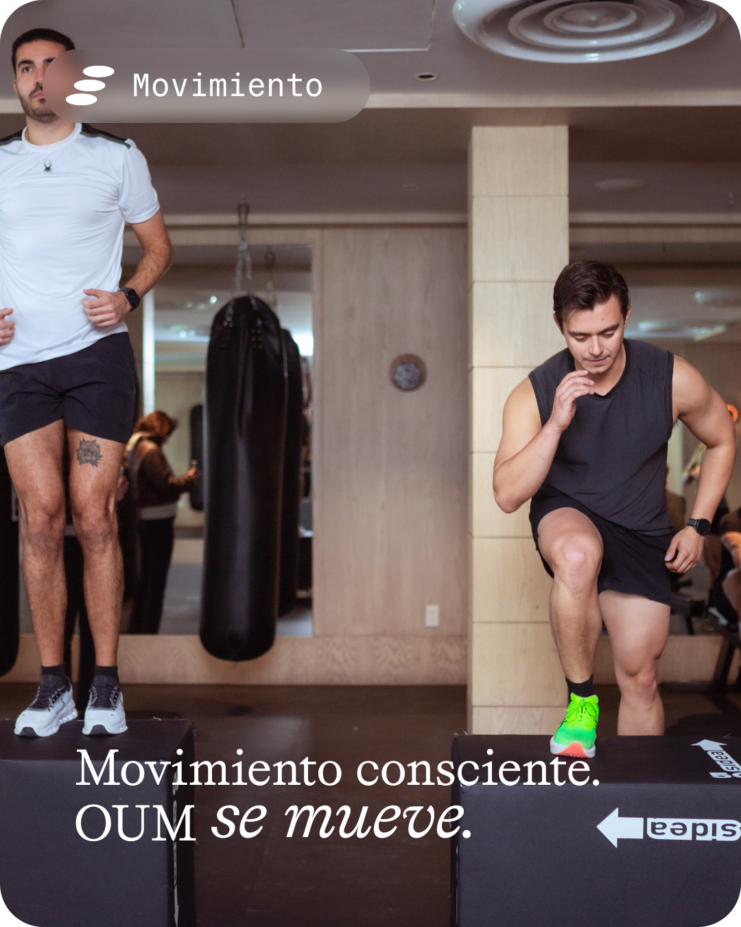 Movimiento