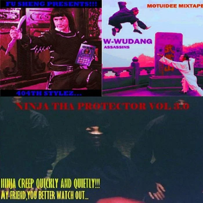 ninja shaolin.jpg