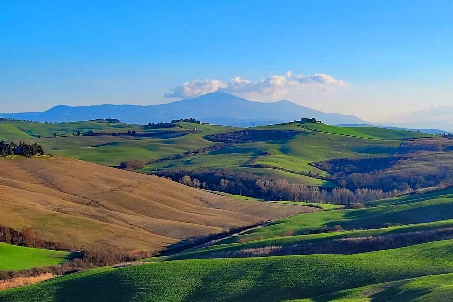 VE_Tuscany_View_1500.jpg