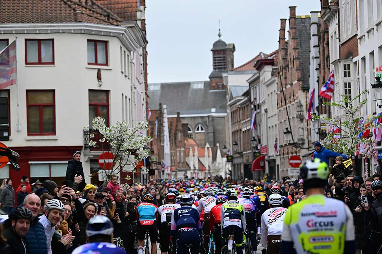 2025 Tour of Flanders / WeRideFlanders — Velo Echappe International Sports 2025 Tour of Flanders / WeRideFlanders — Velo Echappe International Sports