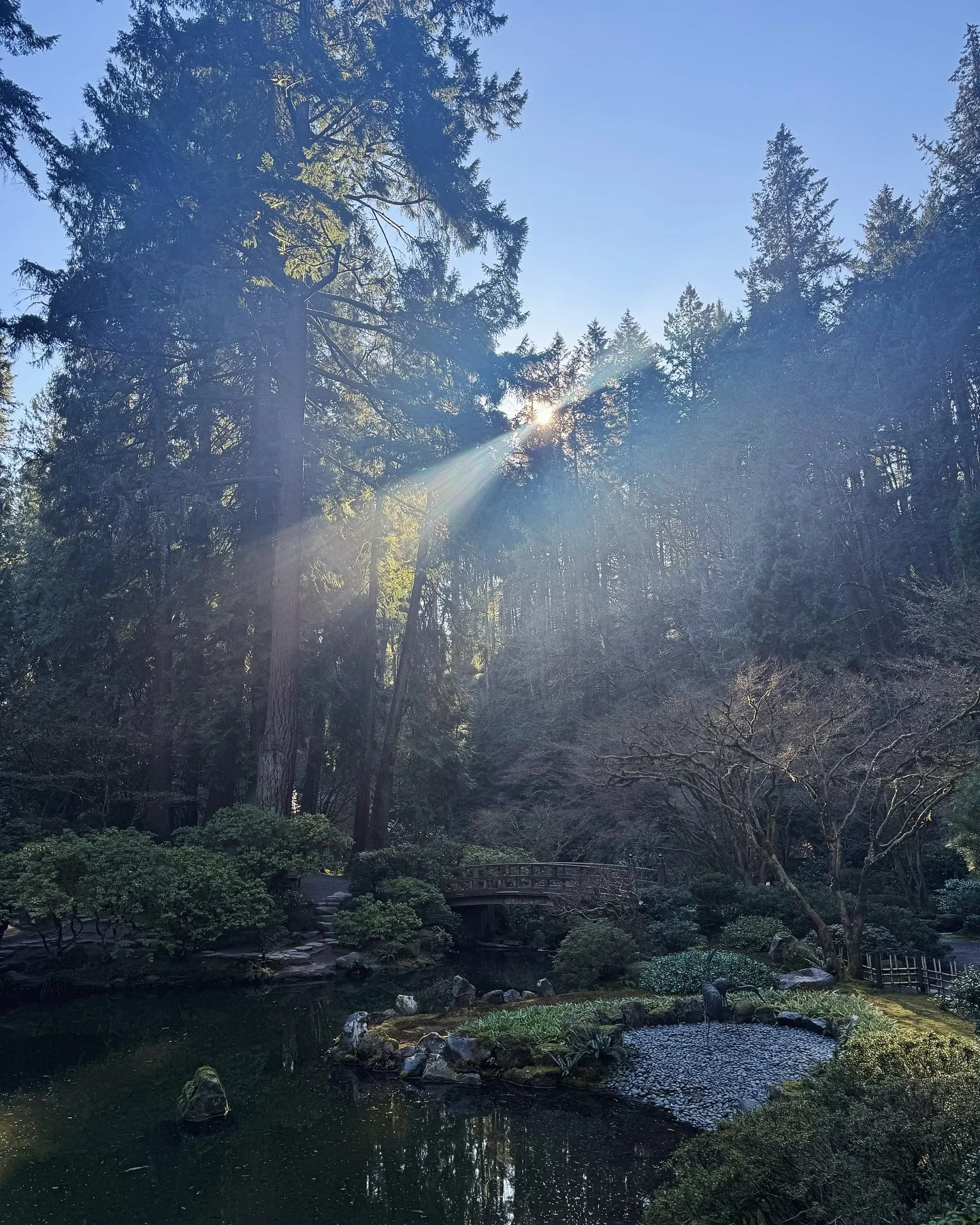 Nice escape for some fresh air. Stay weird, Portland.🤘🏻