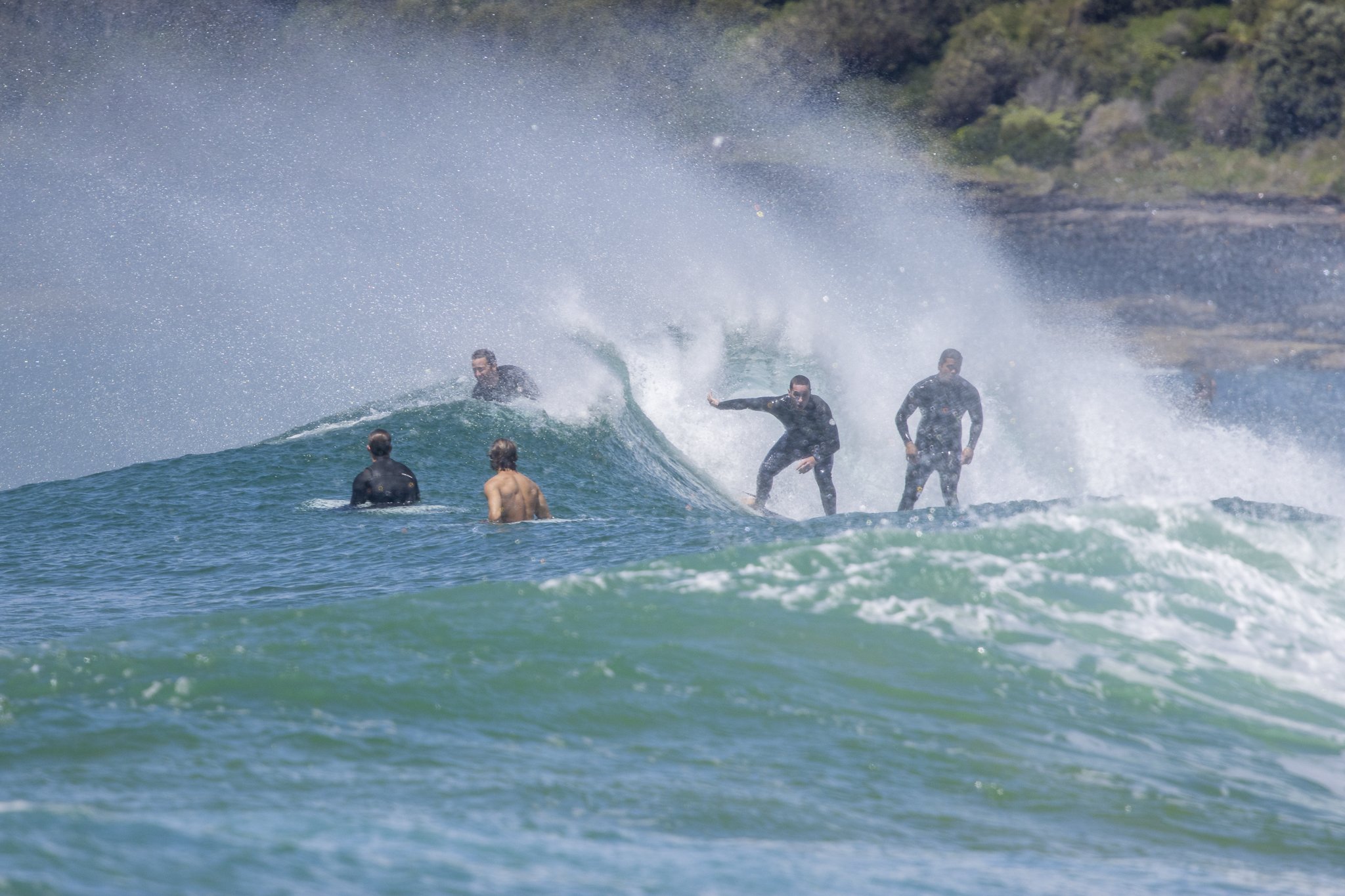 Four surfers riding and waiting on waves in the ocean, with a rocky shoreline and trees in the background.