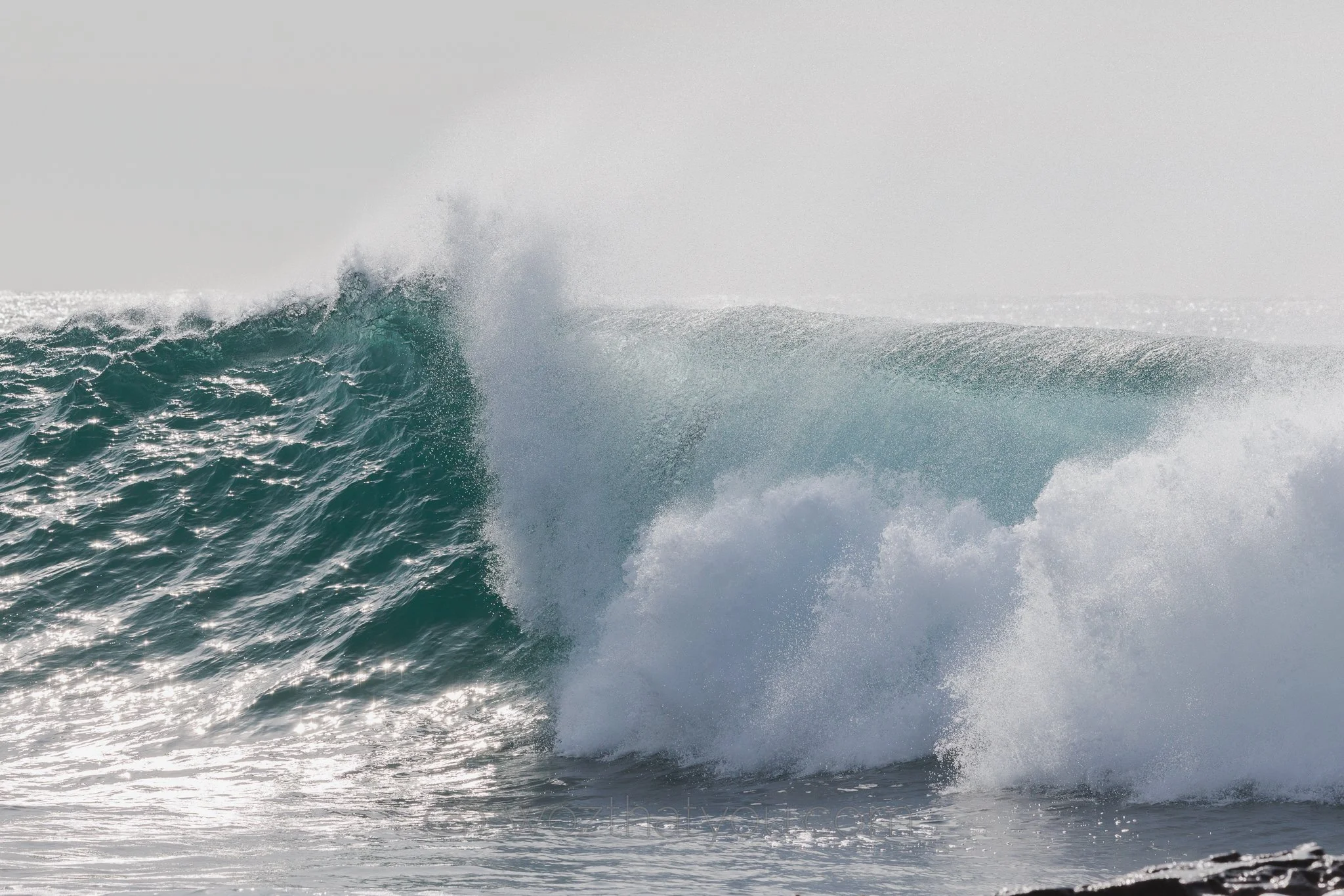 A large ocean wave crashing with white foam and spray