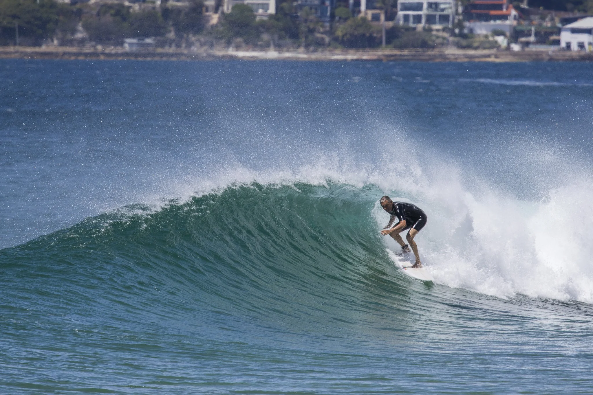 A person in a black wetsuit surfing on a wave near the coast.