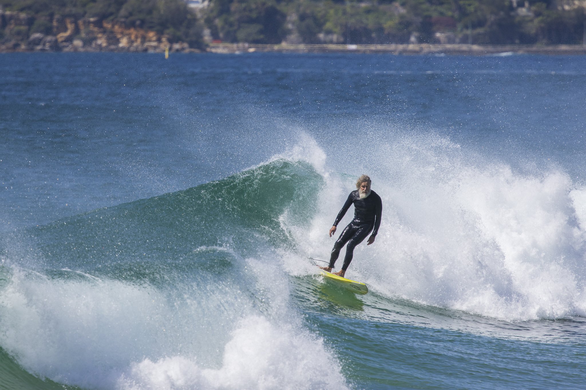 Older man with a gray beard surfing on a yellow surfboard in the ocean with green waves, wearing a black wetsuit, with a shoreline and trees in the background.