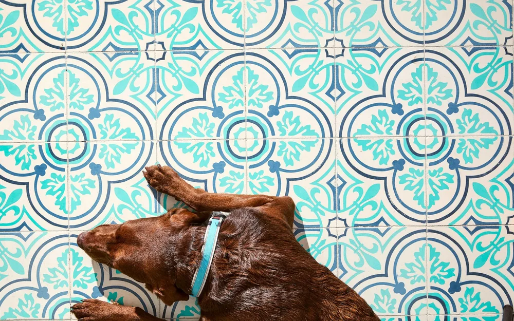 About Rick Martinez Cook, Host and Author of Mi Cocina — Rick Martínez