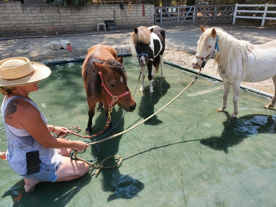 Hot days require Pool Parties