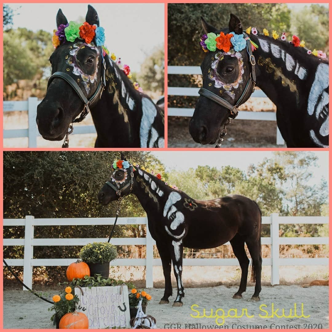 2020 Annual Halloween Contest Winner