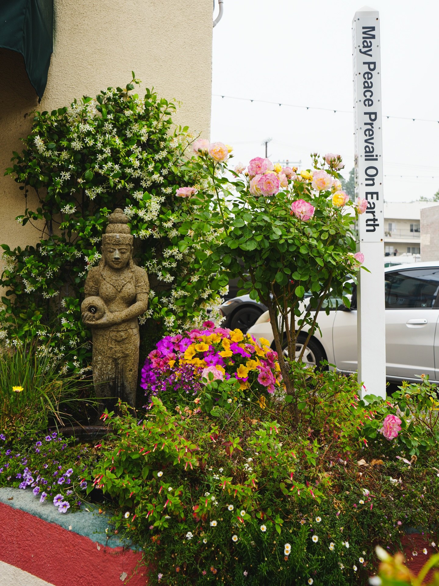 Can we take a moment for the beautiful spring blooms in front of our water feature &amp; #peacepole? Bringing so much light, warmth and delight to the recently grey LA mornings ☺️☁️🌸🌷🌻🪻