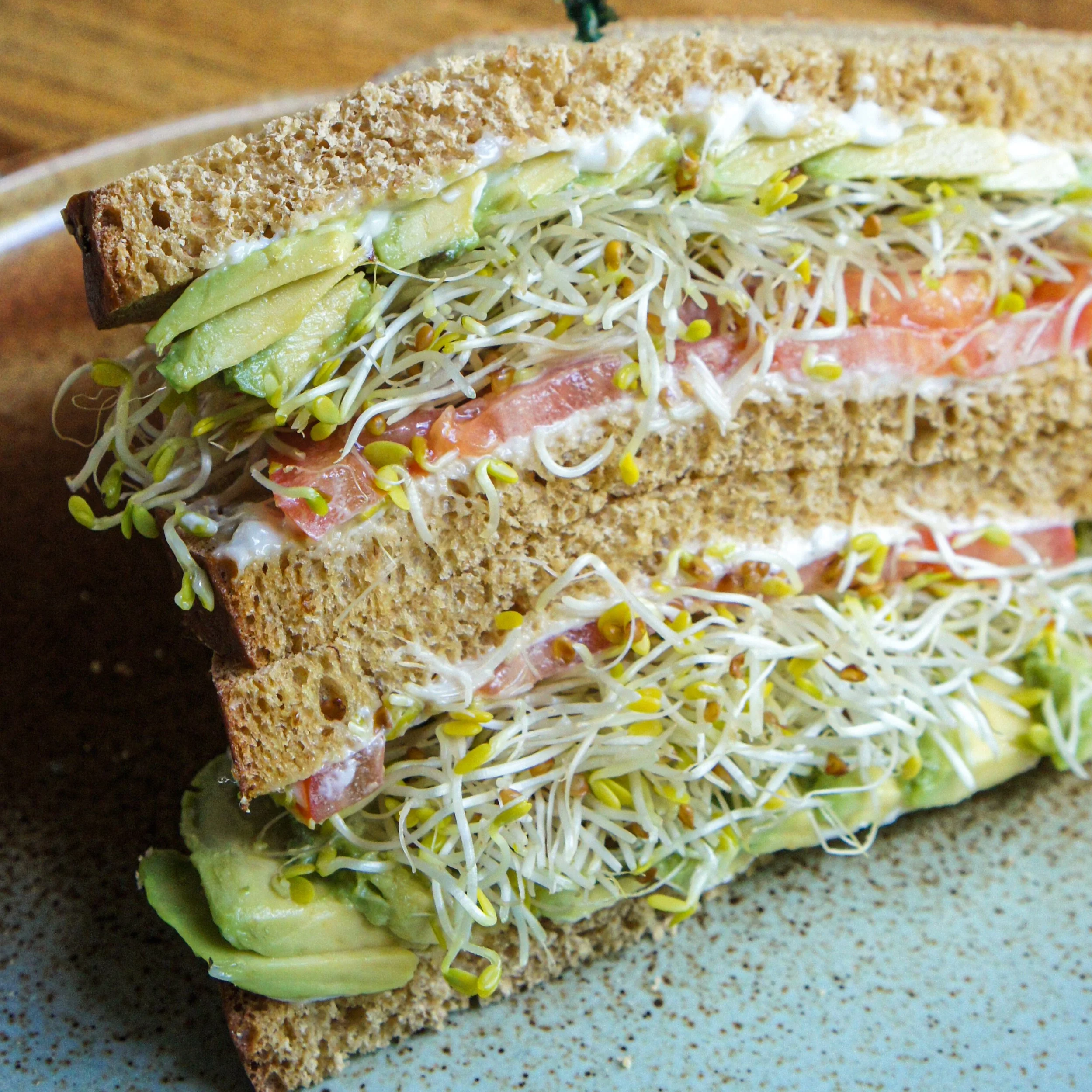 Avocado Tomato &amp; Sprouts Sandwich