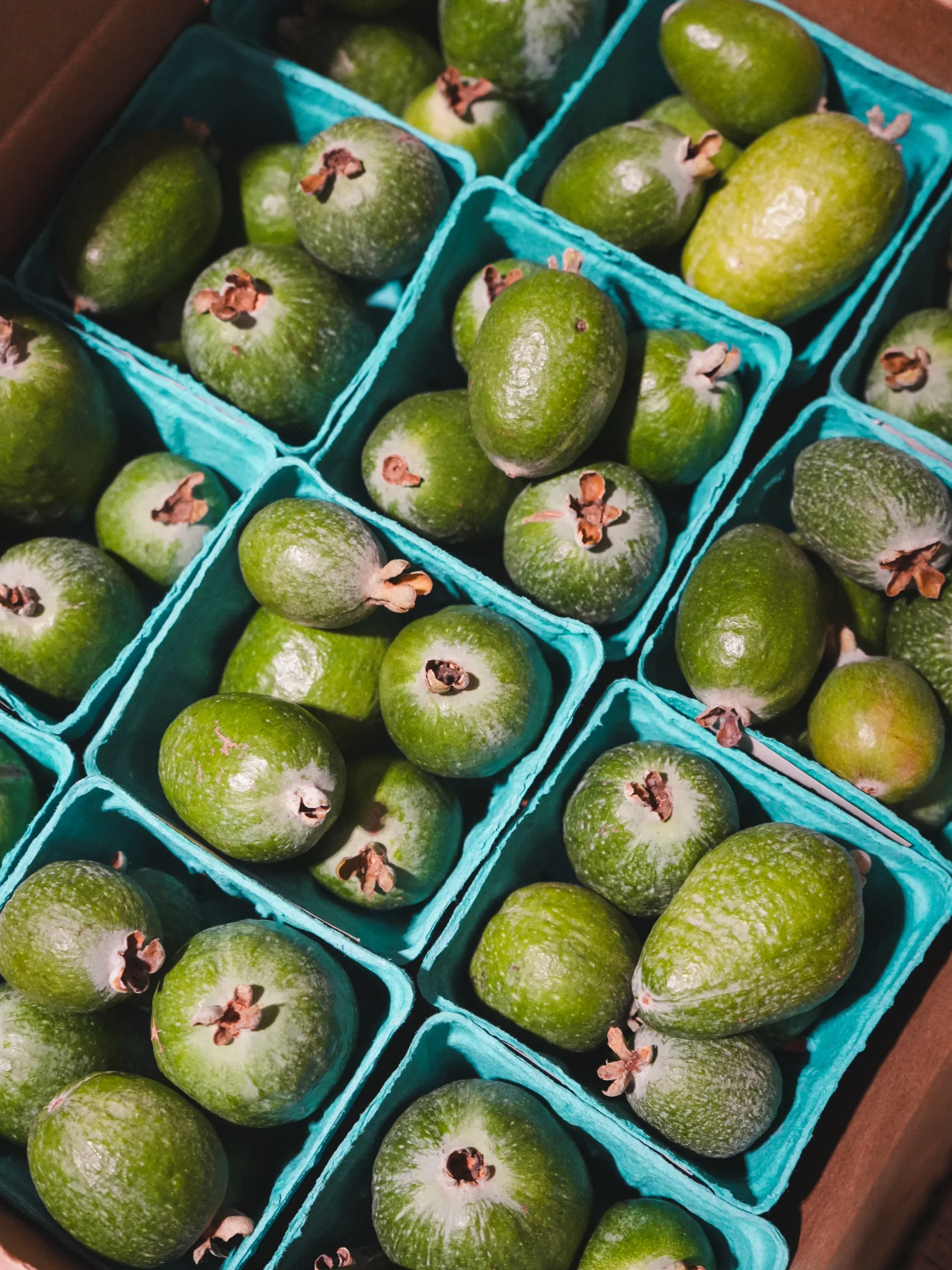 You know you&rsquo;re doing something right when you get excited about new biodynamic fruit arrivals 😉😆😋 

Just in from @apricotlanefarms - feijoas (pineapple guava 🍍), persimmon 🍊, and more jujubes 🍇! We also have their amazing avocados 🥑 and