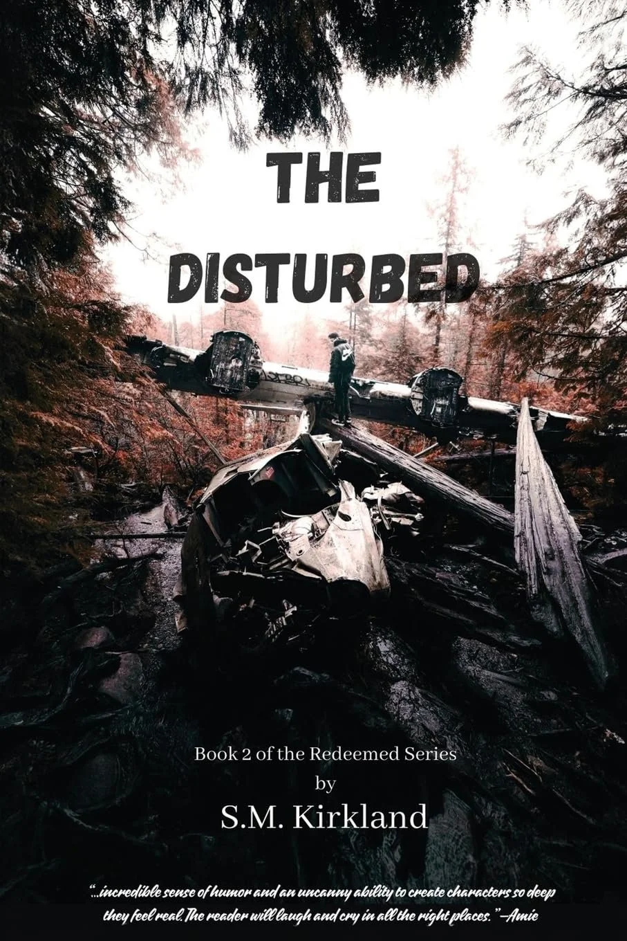 'The Disturbed' by S.M. Kirkland