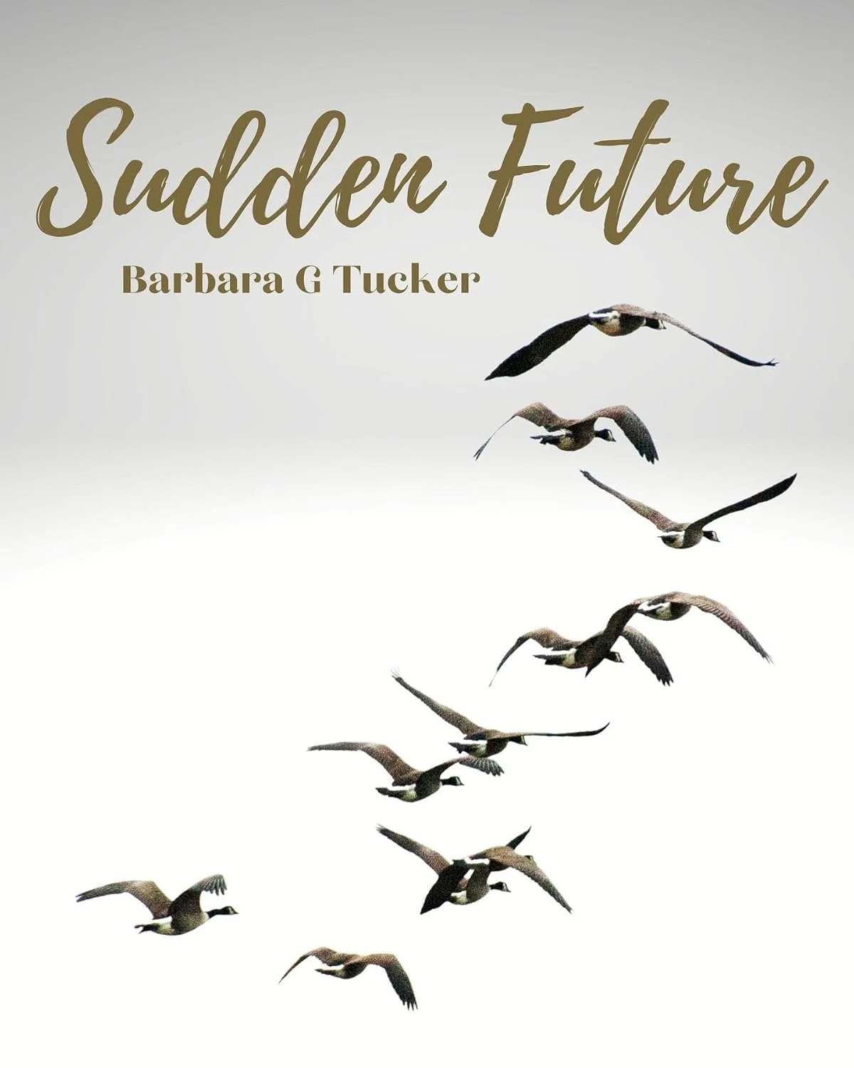 'Sudden Future' by Barbara G Tucker