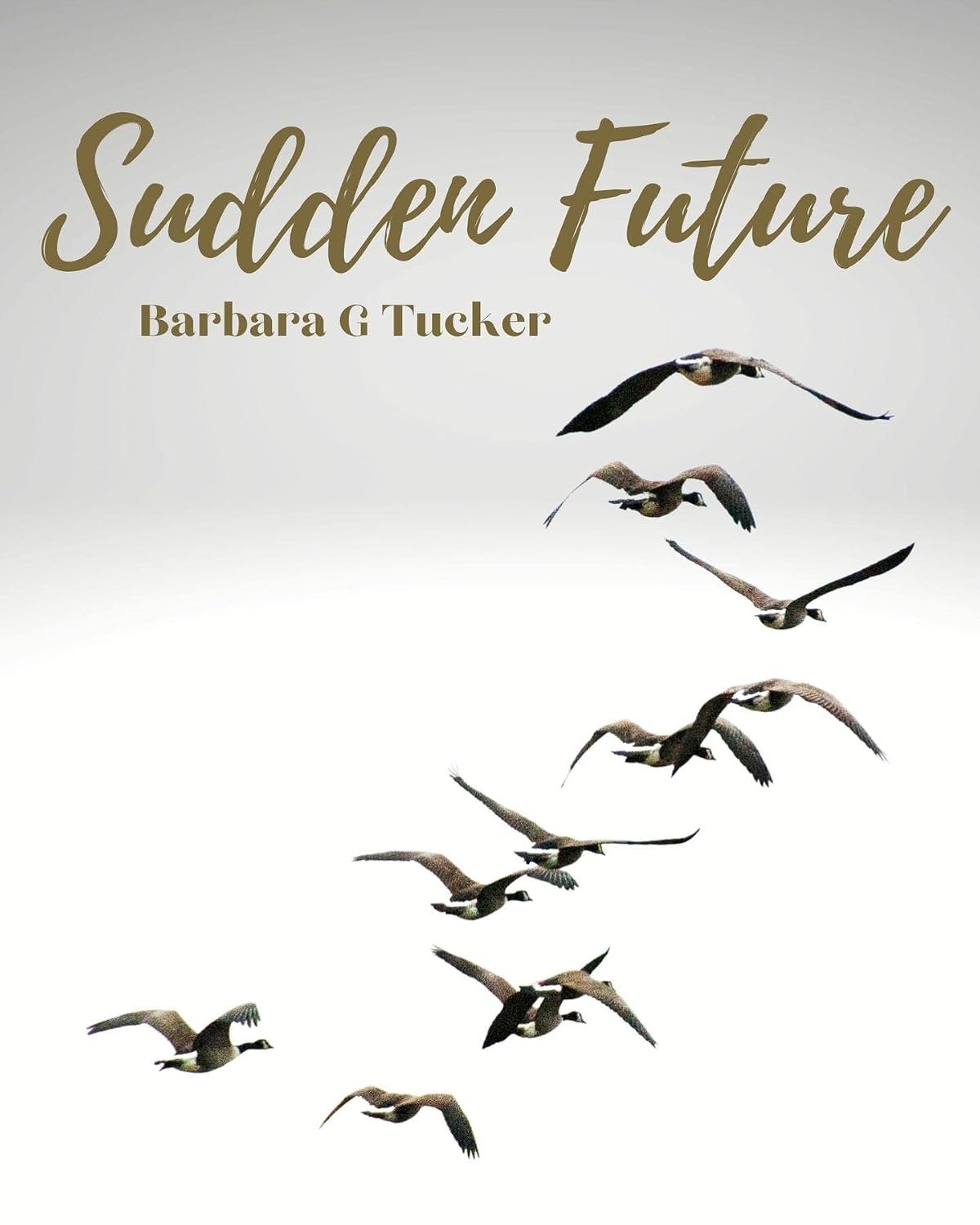 Sudden Future by Barbara G. Tucker