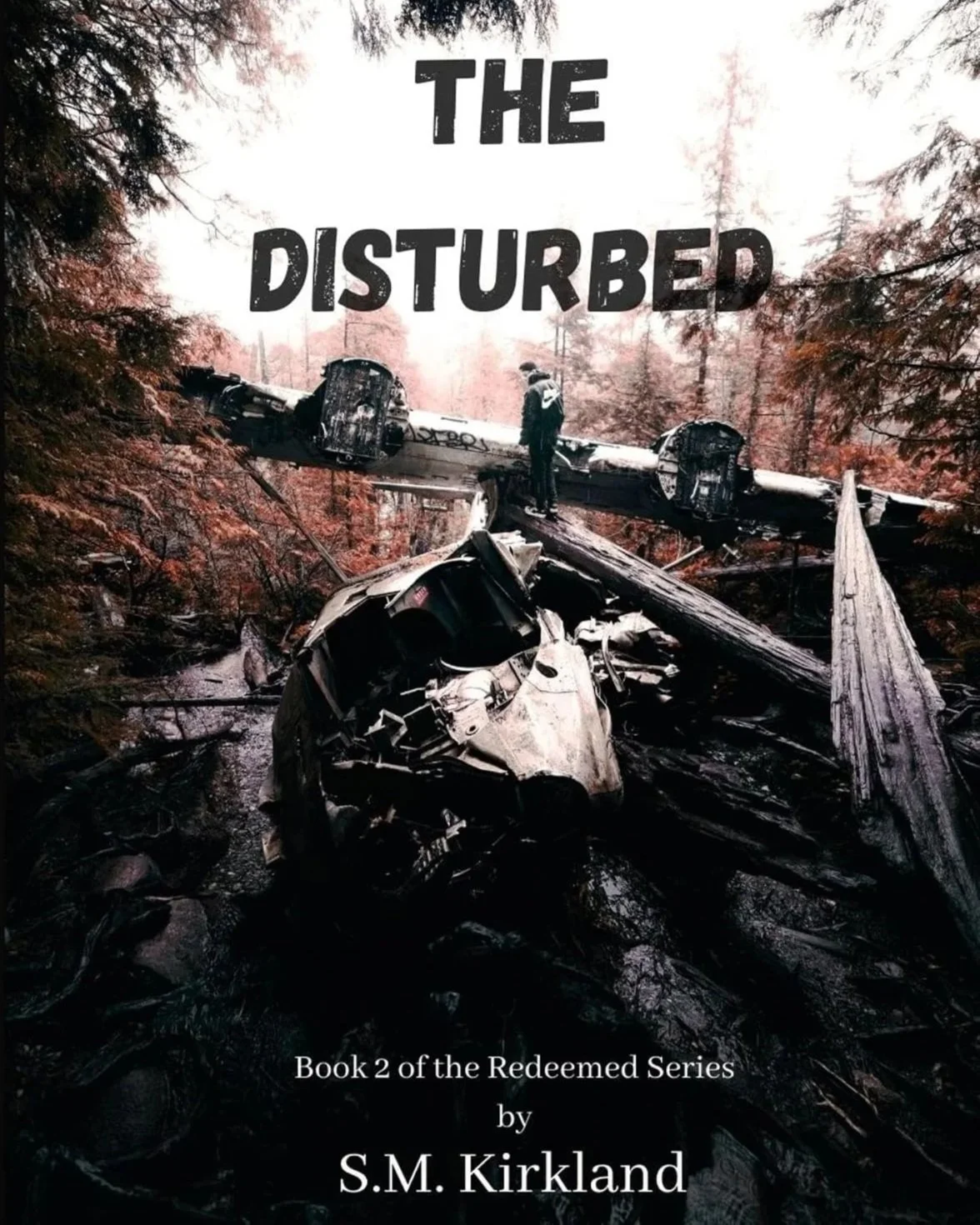 'The Disturbed'