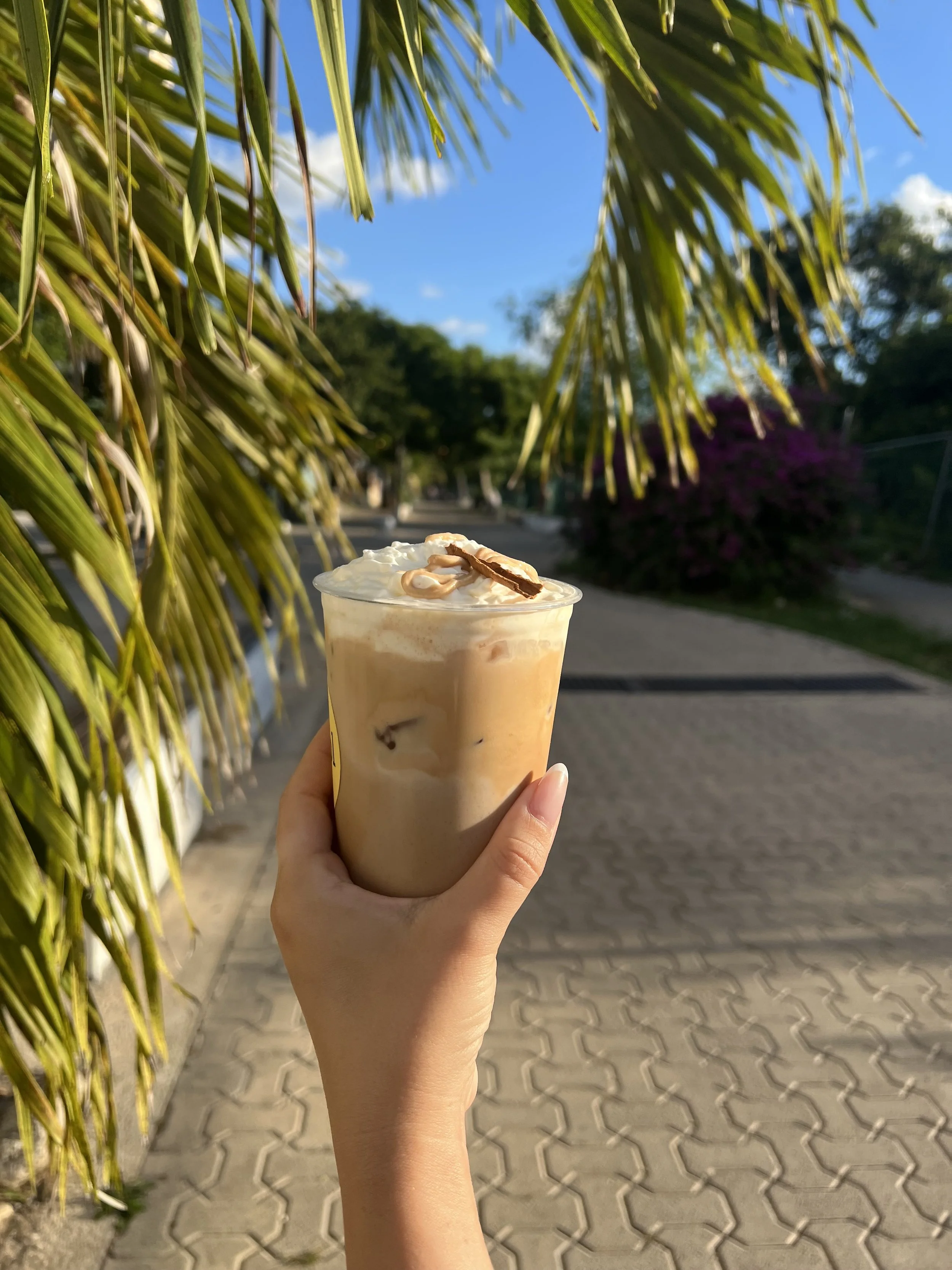 📍Somos Crisol 
10/10 coffee + vibes 