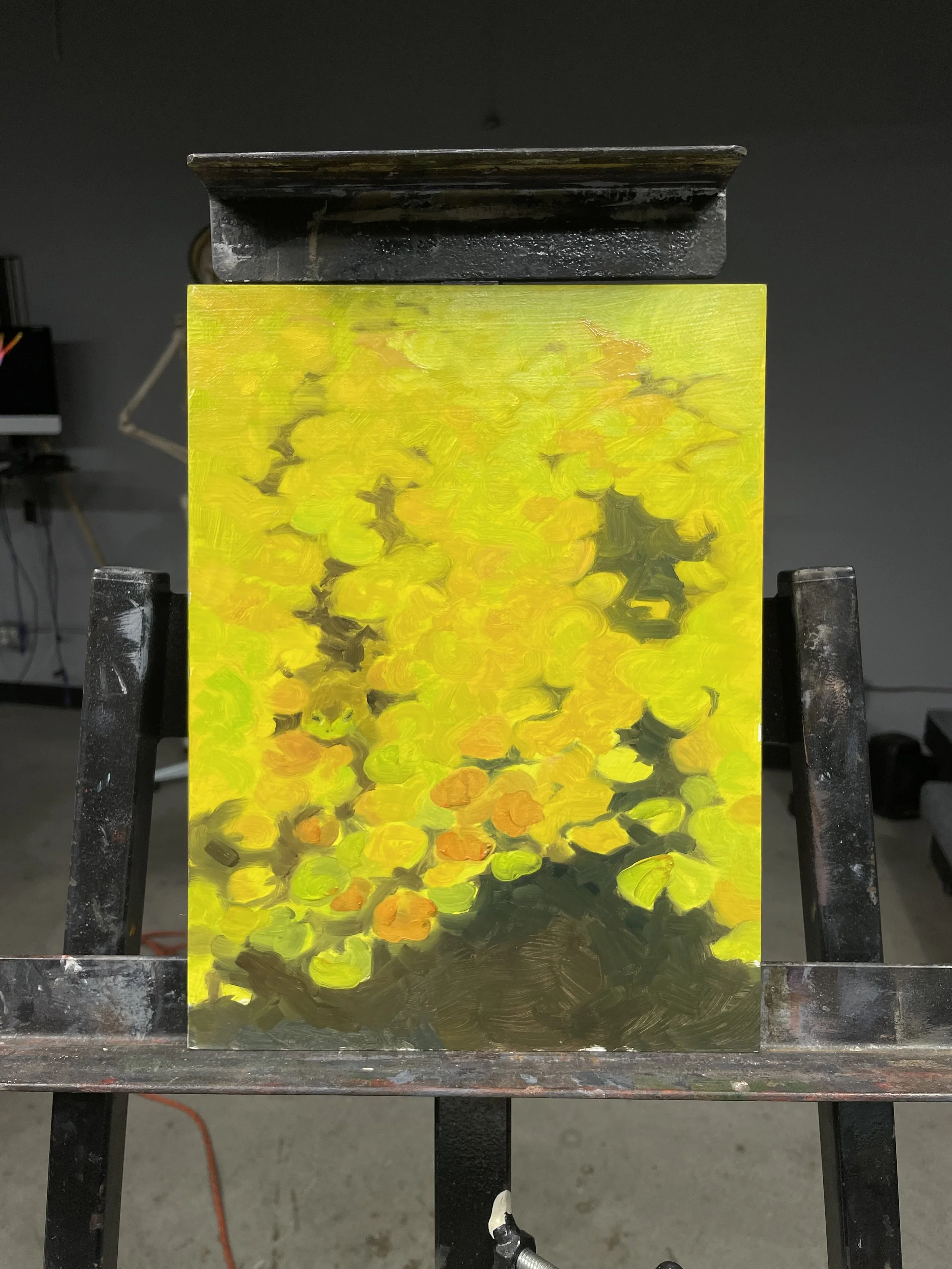 Lillies(Repeating SHapes).jpg