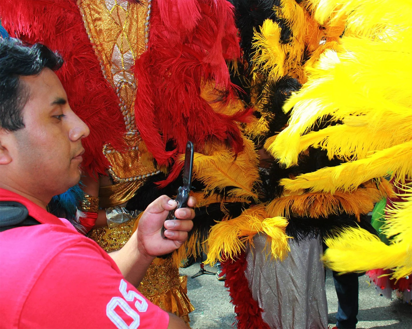 2014_09_11_AndreaDiasBreitman_StreetPhotography_BrasilianParade_Feathers03_Web.jpg