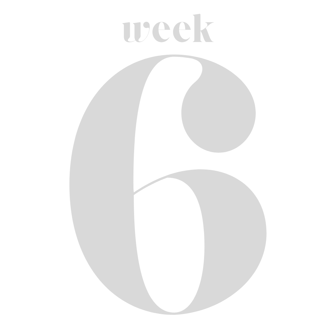 Gray number 6 with the word 'week' above it on a black background.