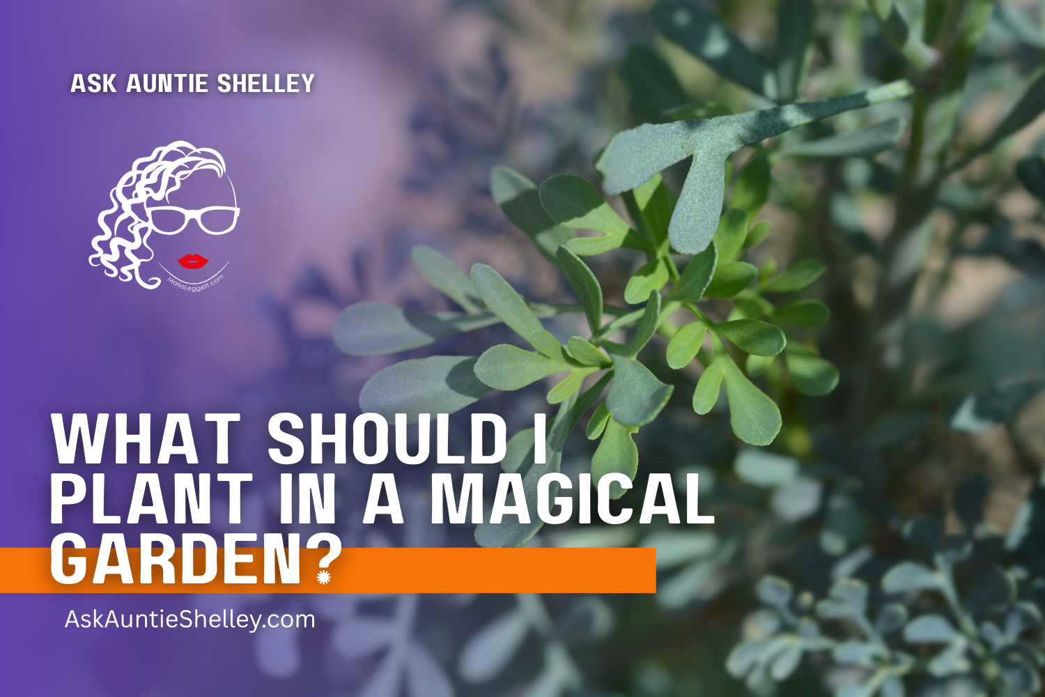 What Should I Plant in a Magical Garden?