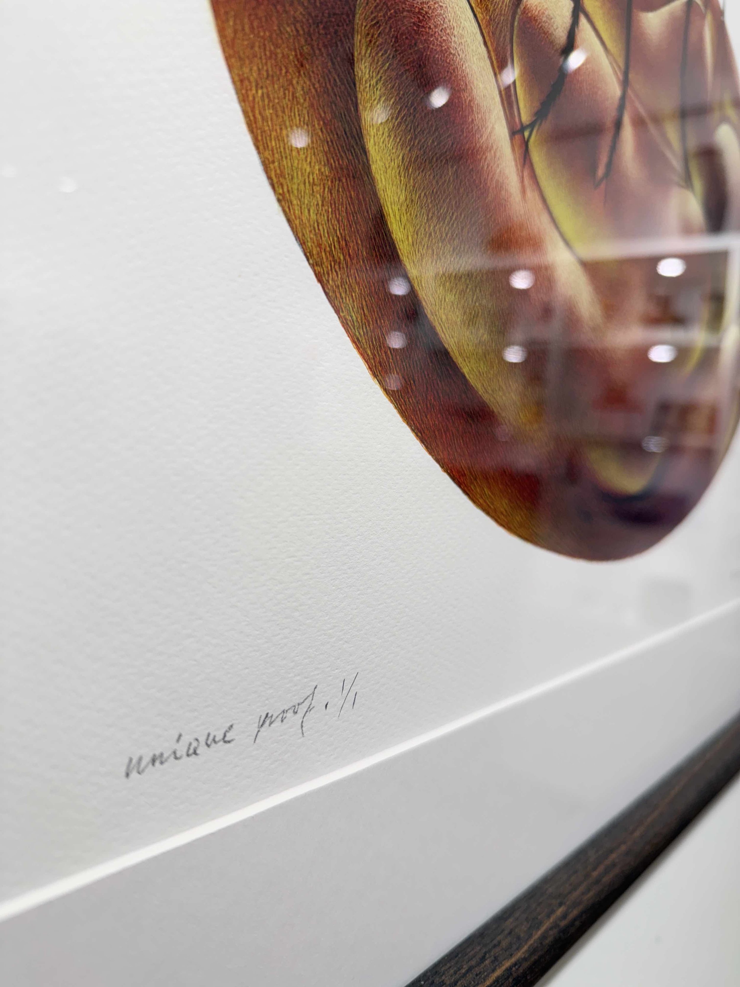 Photo 2026-02-18, 3 17 34 PM.jpg