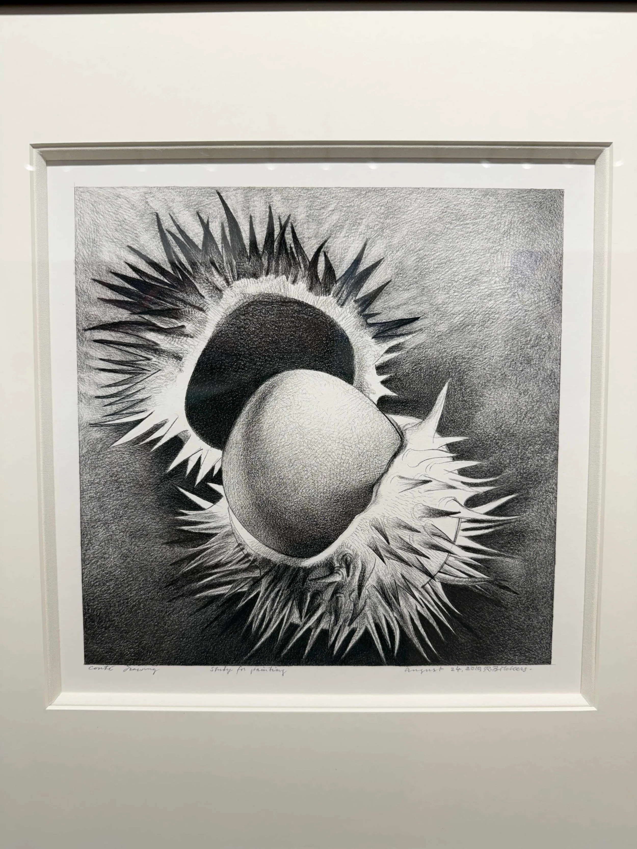 Photo 2026-02-10, 12 30 09 PM.jpg