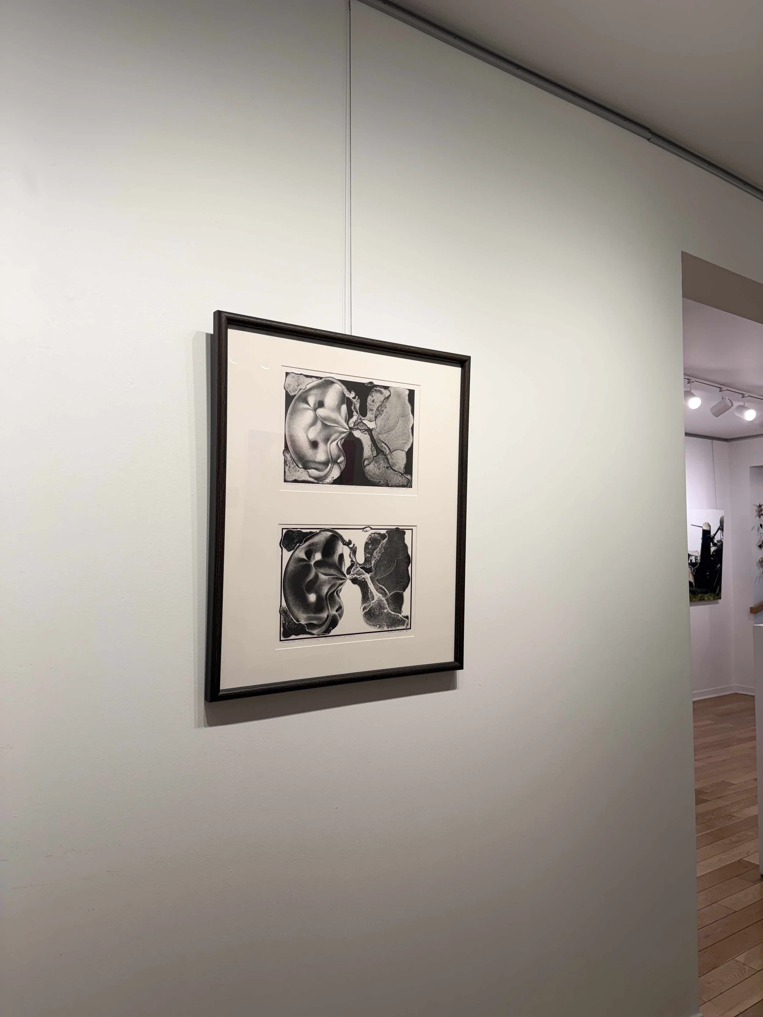 Photo 2026-02-13, 10 39 23 AM.jpg