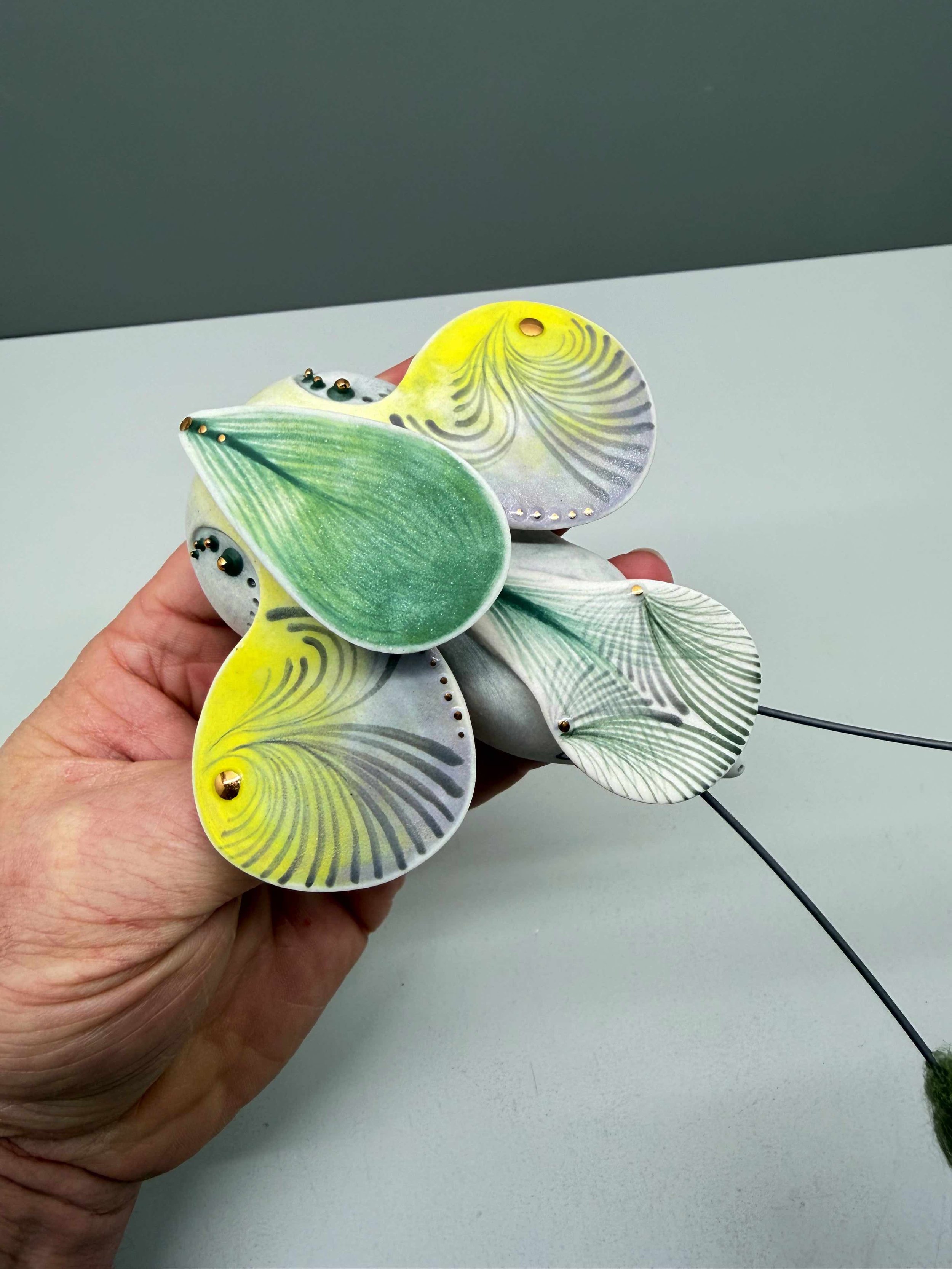 Photo 2026-02-12, 2 17 35 PM.jpg