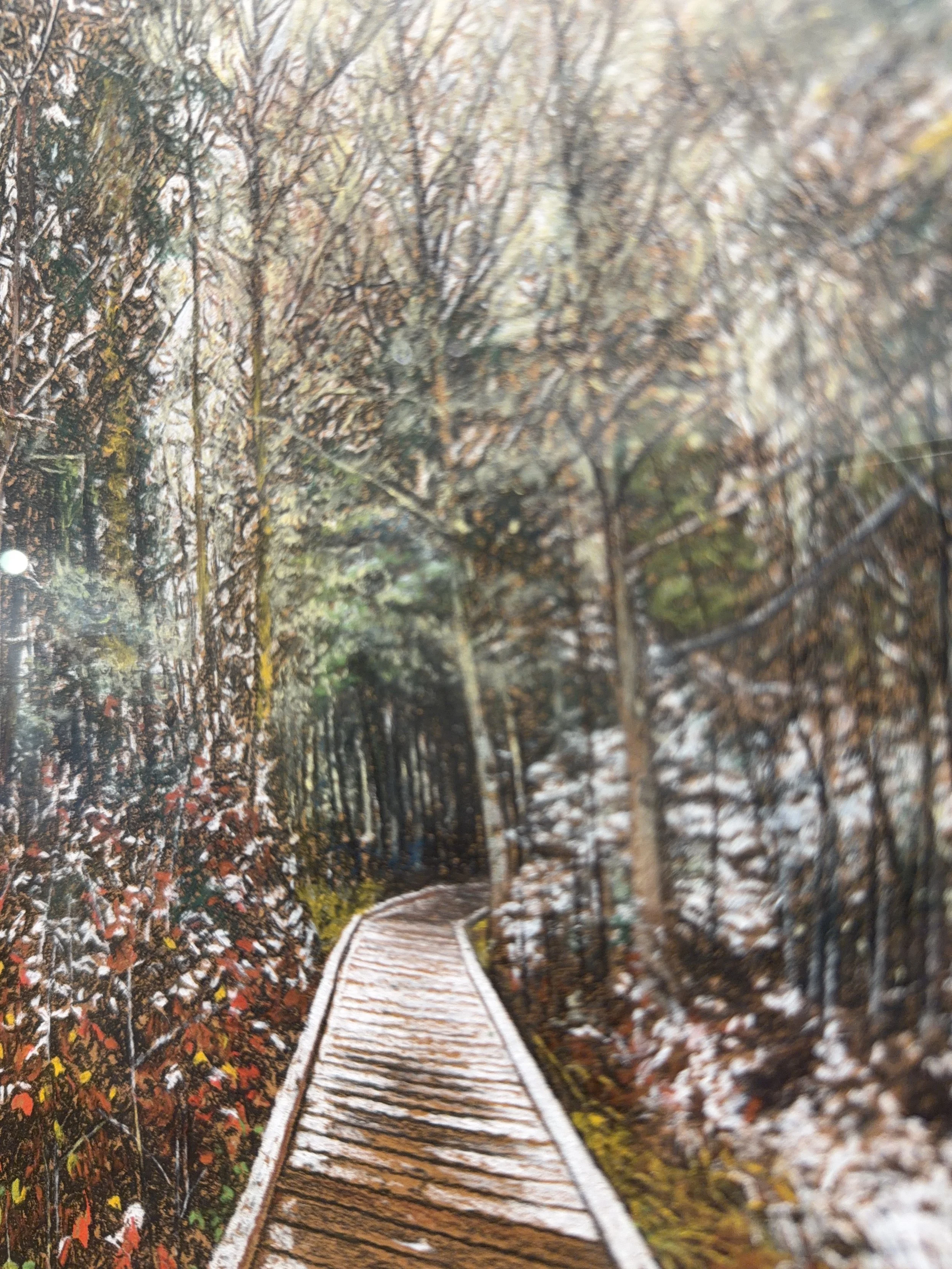 Photo 2026-01-23, 11 47 42 AM.jpg