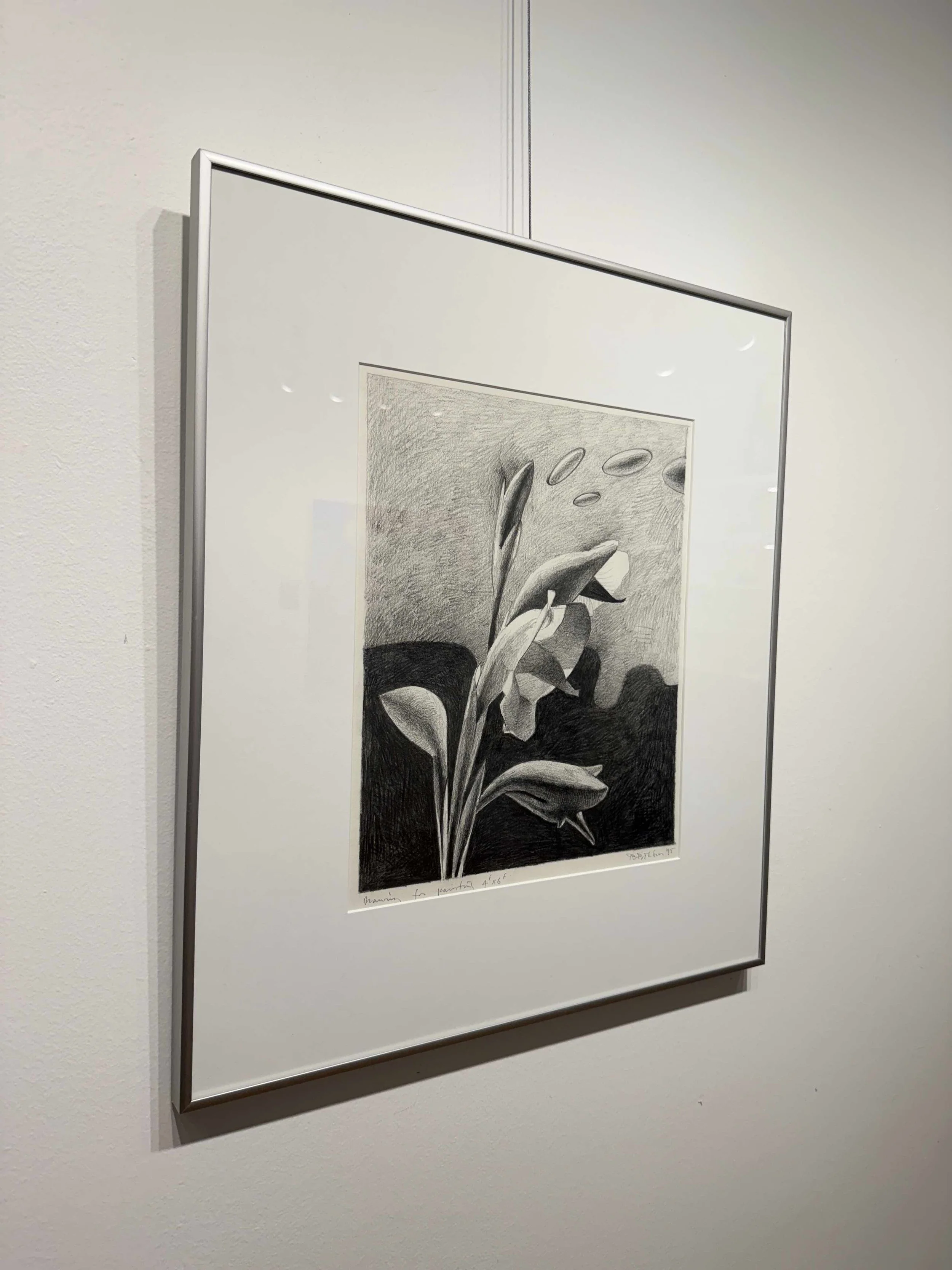 Photo 2026-02-10, 12 40 34 PM.jpg