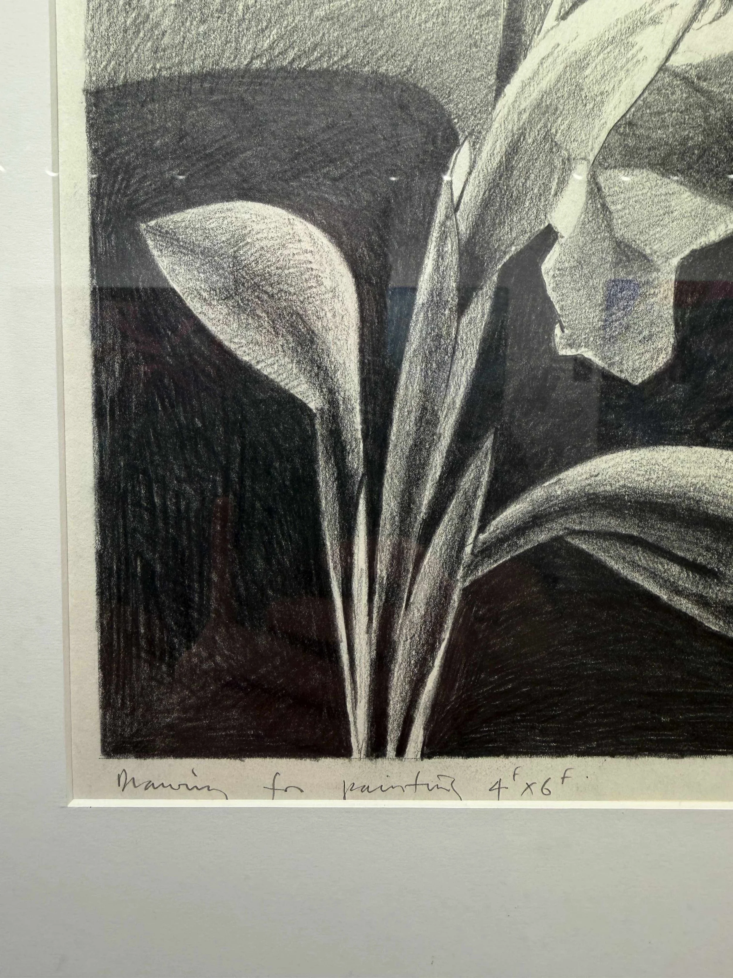 Photo 2026-02-10, 12 41 00 PM.jpg