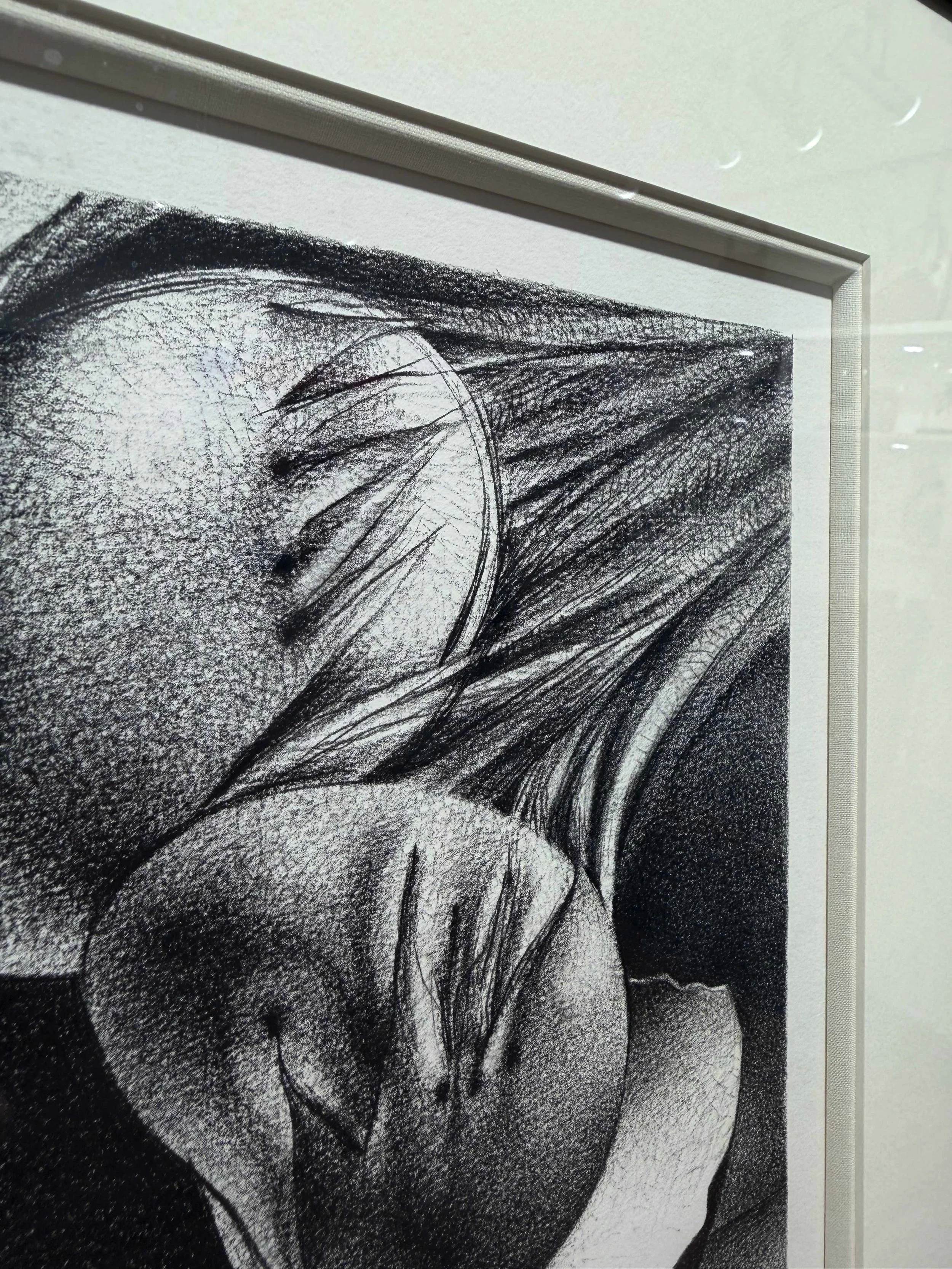 Photo 2026-02-10, 12 38 46 PM.jpg