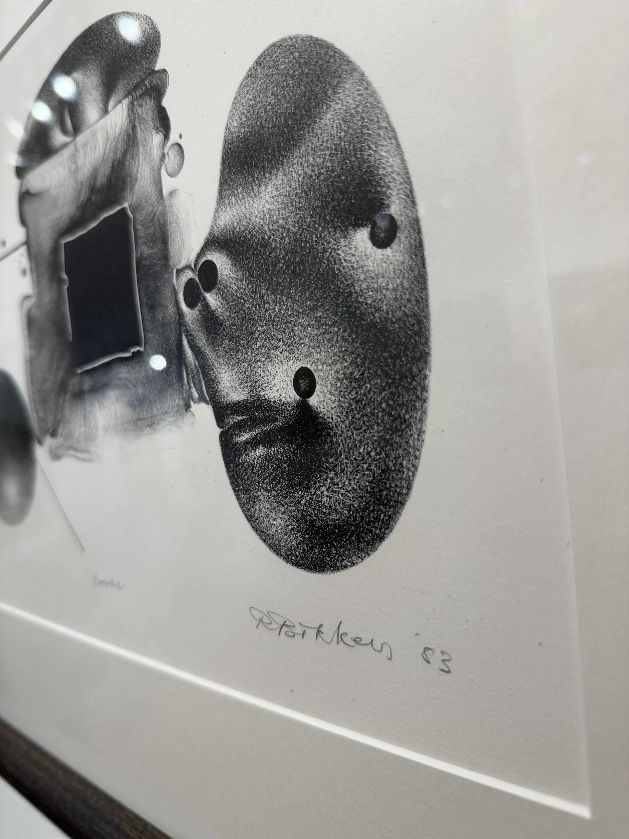 Photo 2026-02-19, 12 29 44 PM.jpg