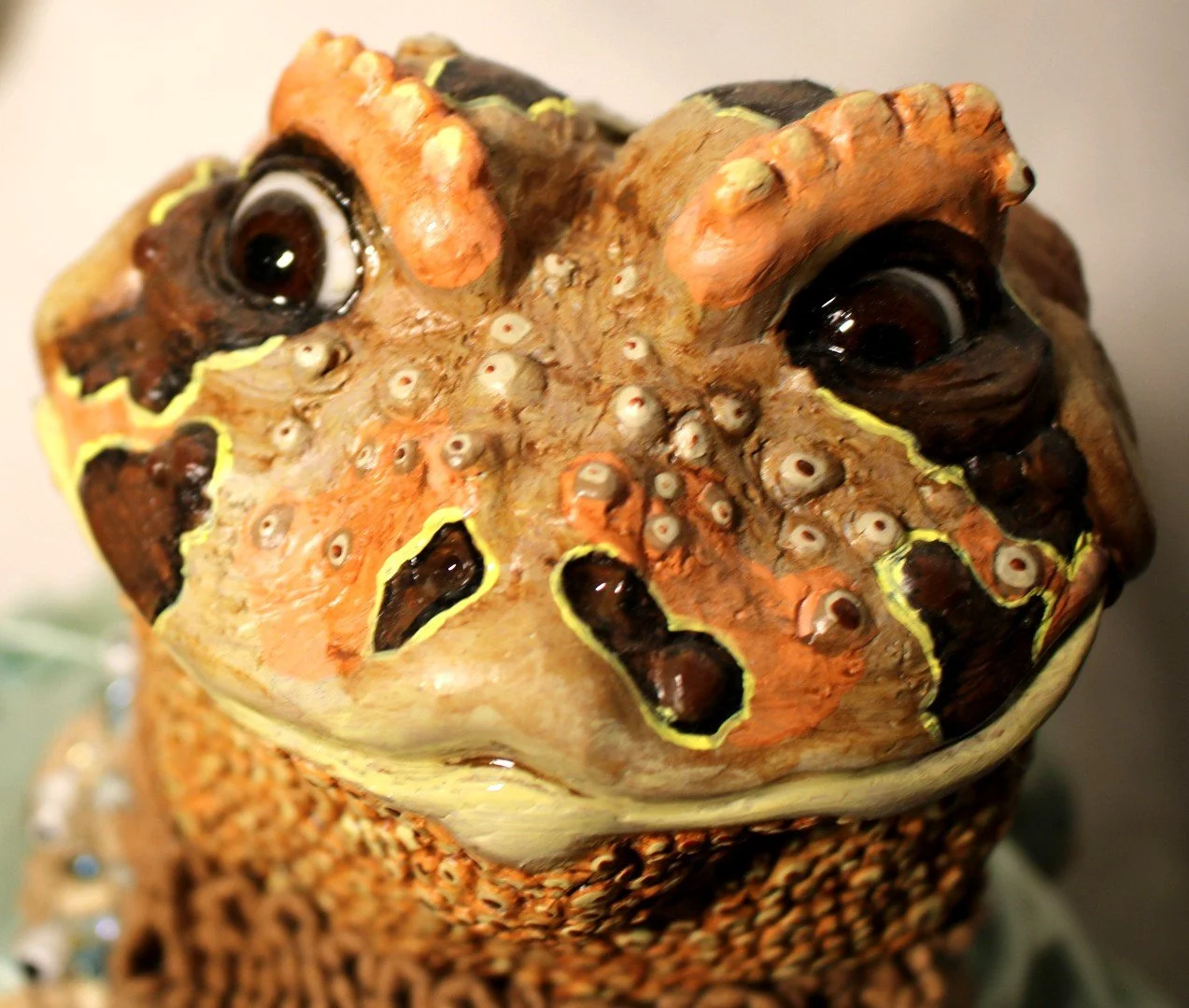 Toad_1.JPEG