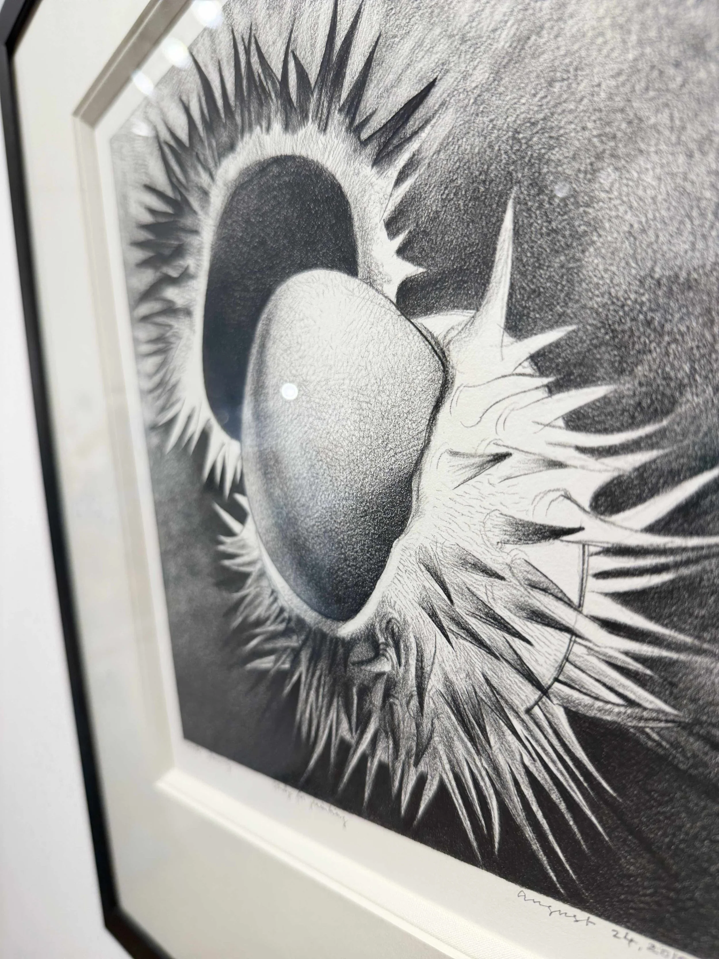 Photo 2026-02-10, 12 30 23 PM.jpg