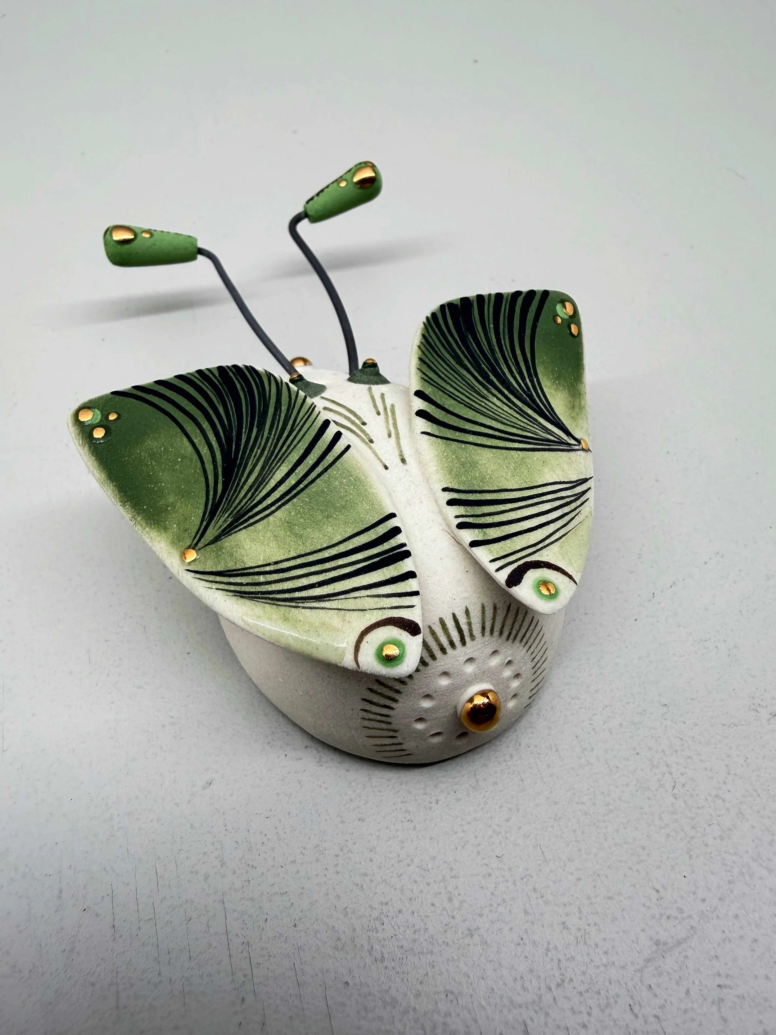 Photo 2026-02-12, 2 23 17 PM.jpg