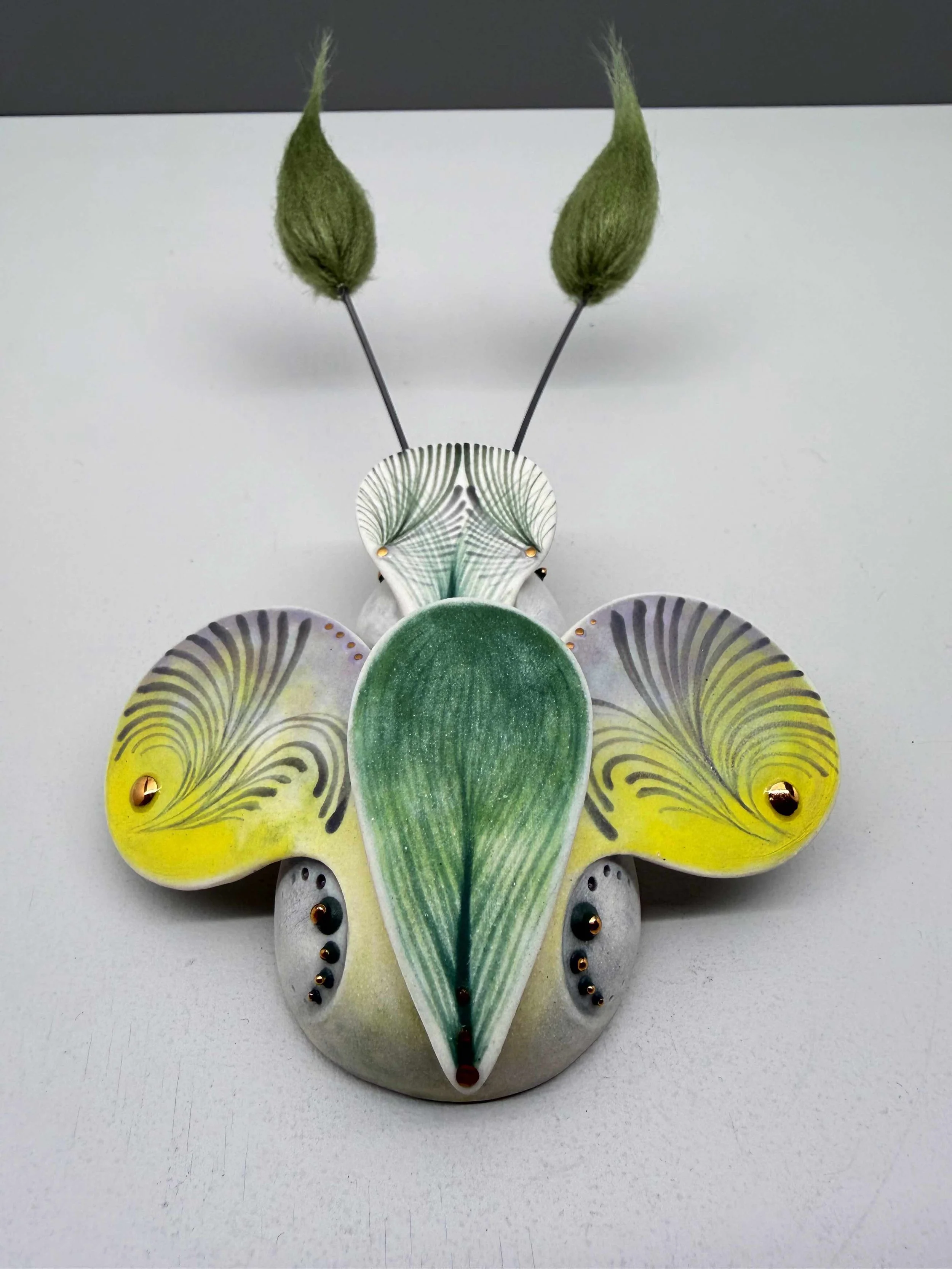 Photo 2026-02-12, 2 17 50 PM.jpg