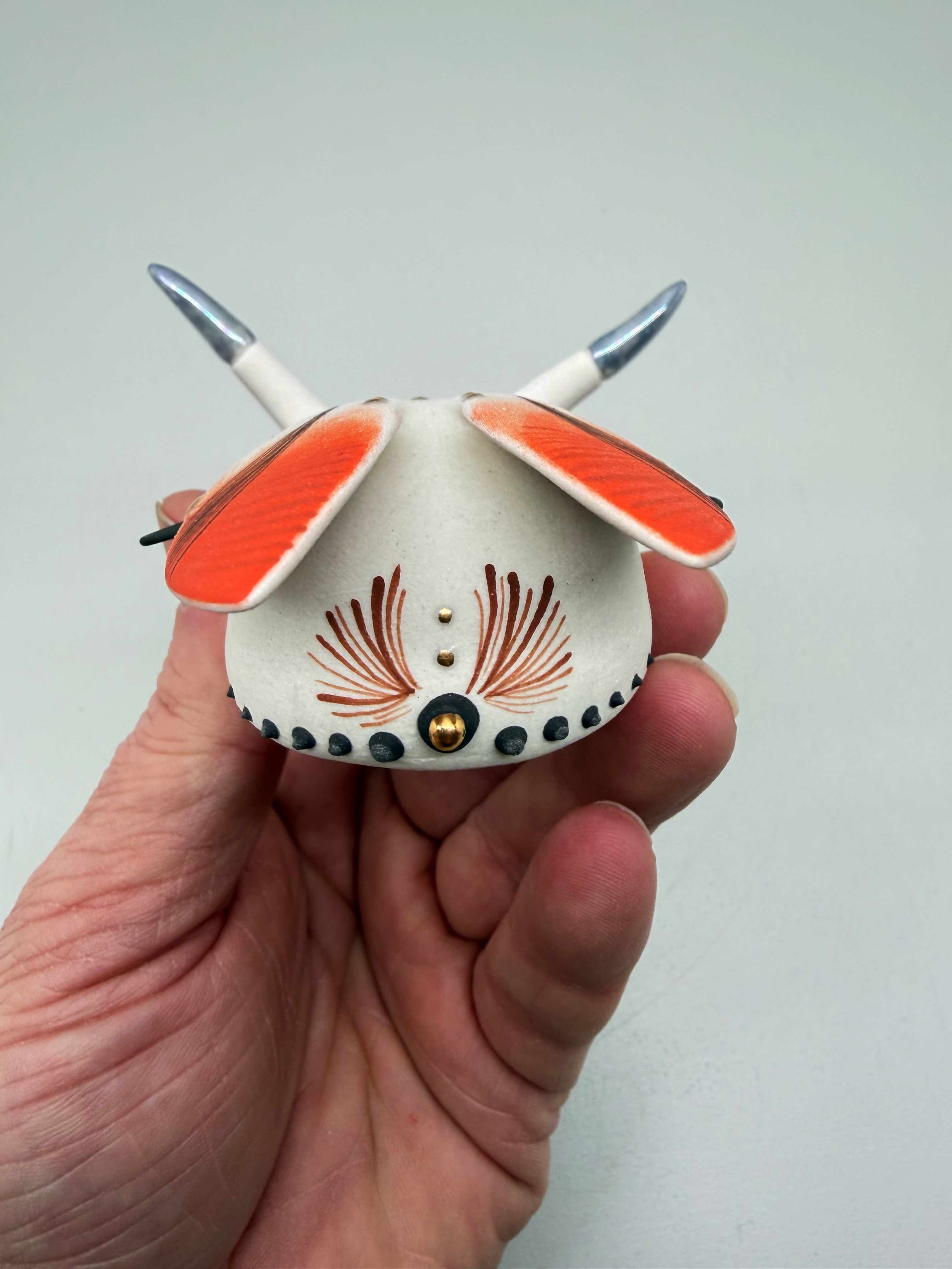 Photo 2026-02-12, 2 29 59 PM.jpg