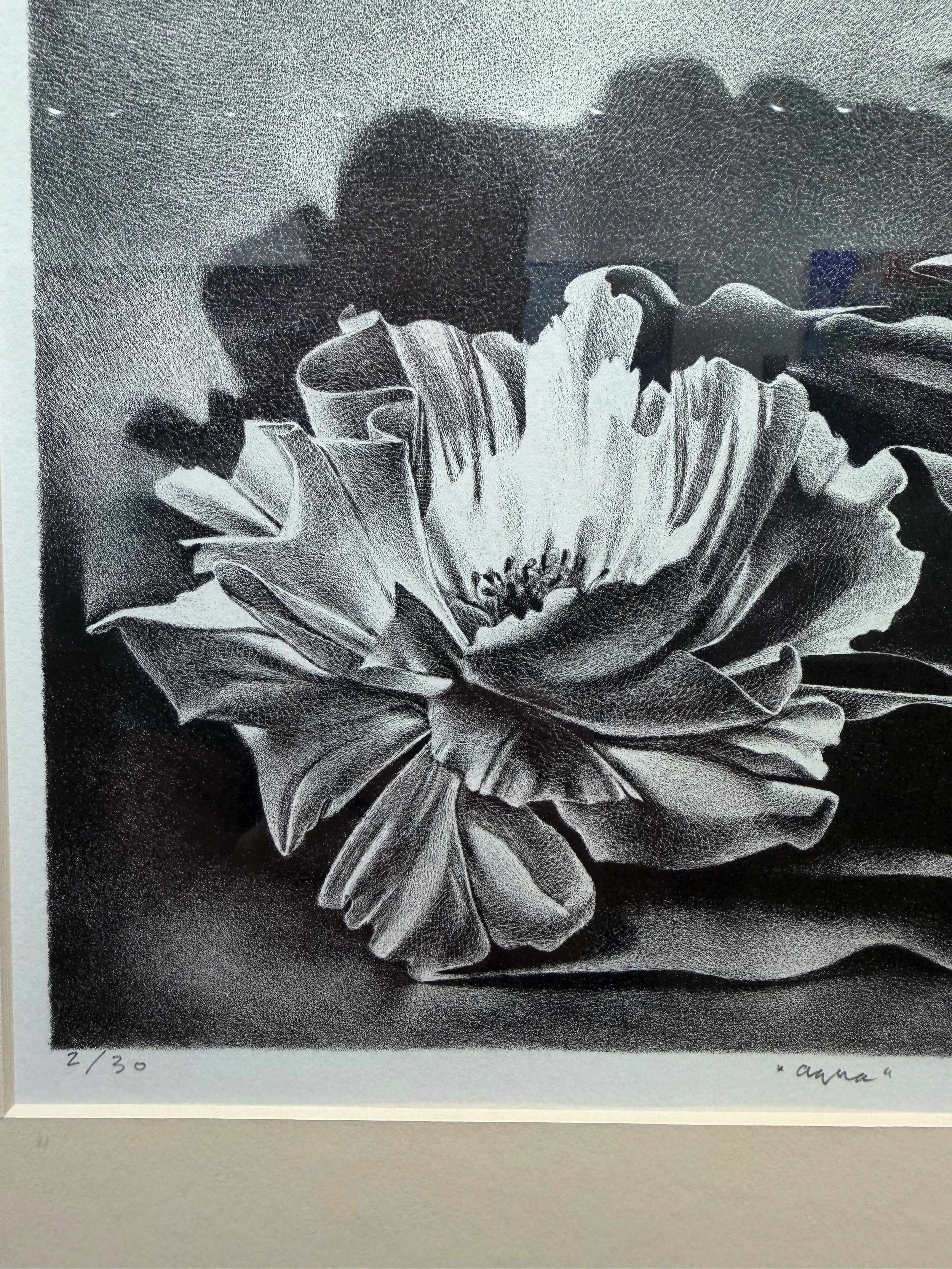 Photo 2026-02-10, 12 33 58 PM.jpg