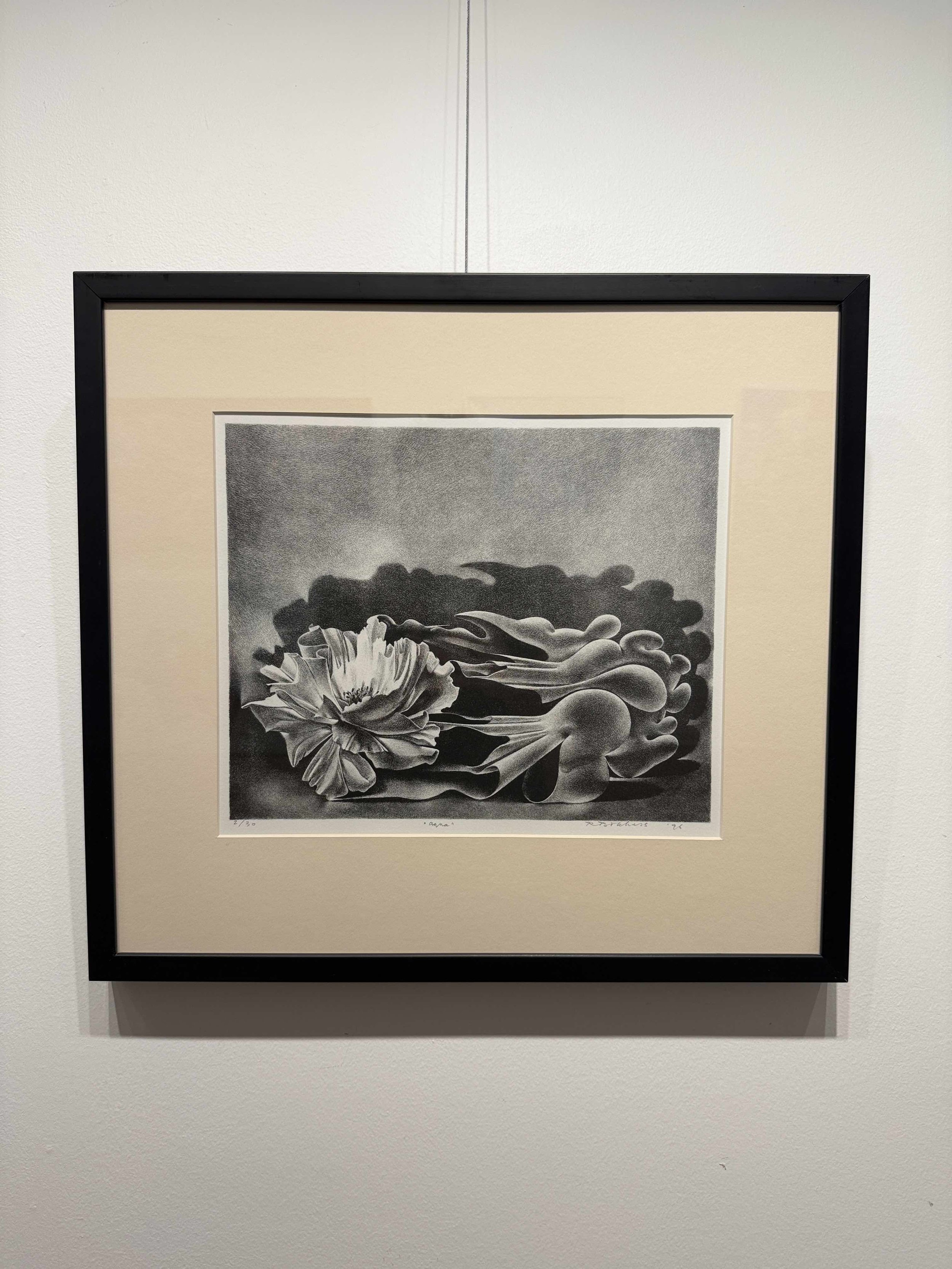 Photo 2026-02-10, 12 33 14 PM.jpg