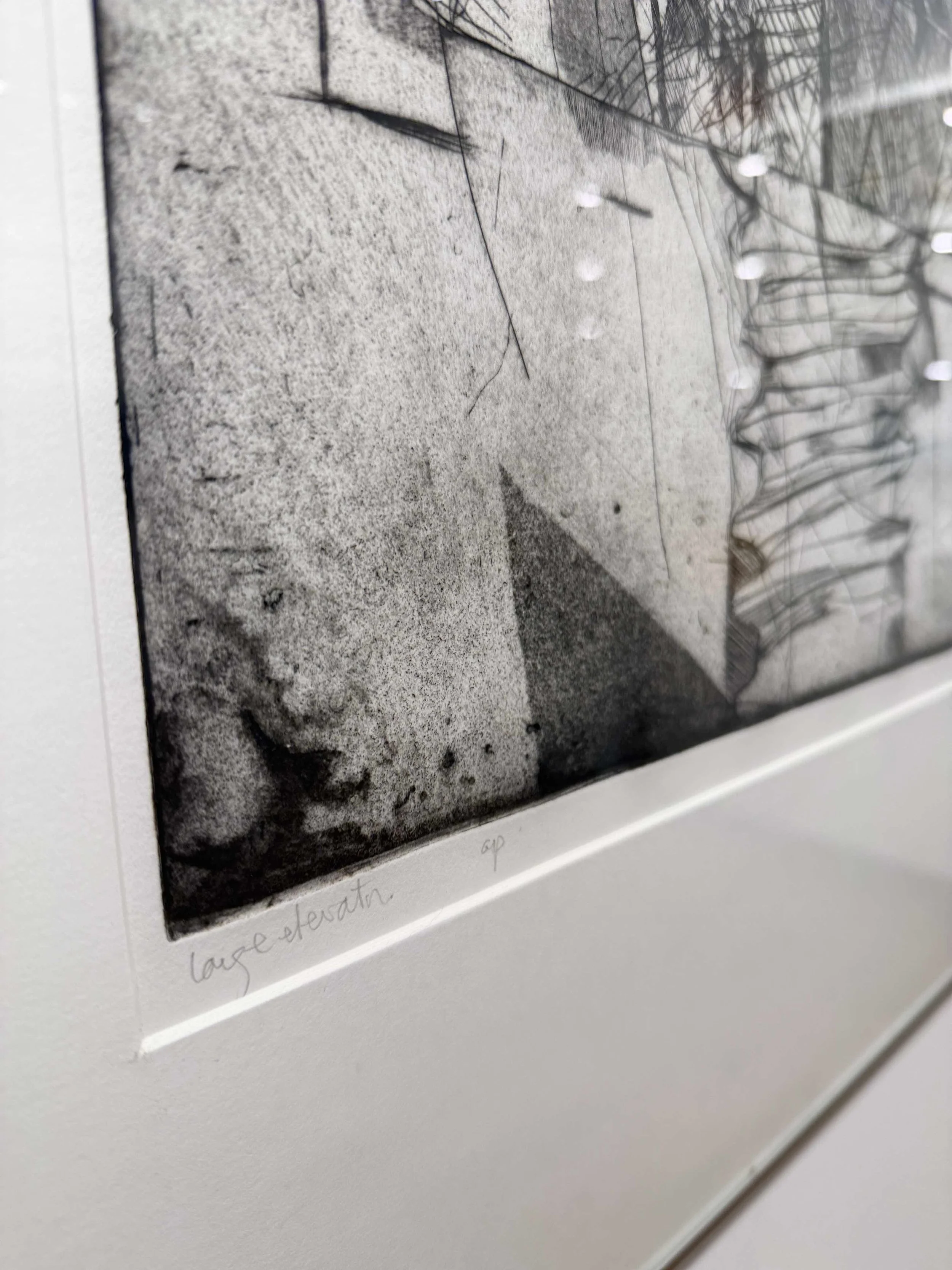 Photo 2026-02-25, 3 39 48 PM.jpg