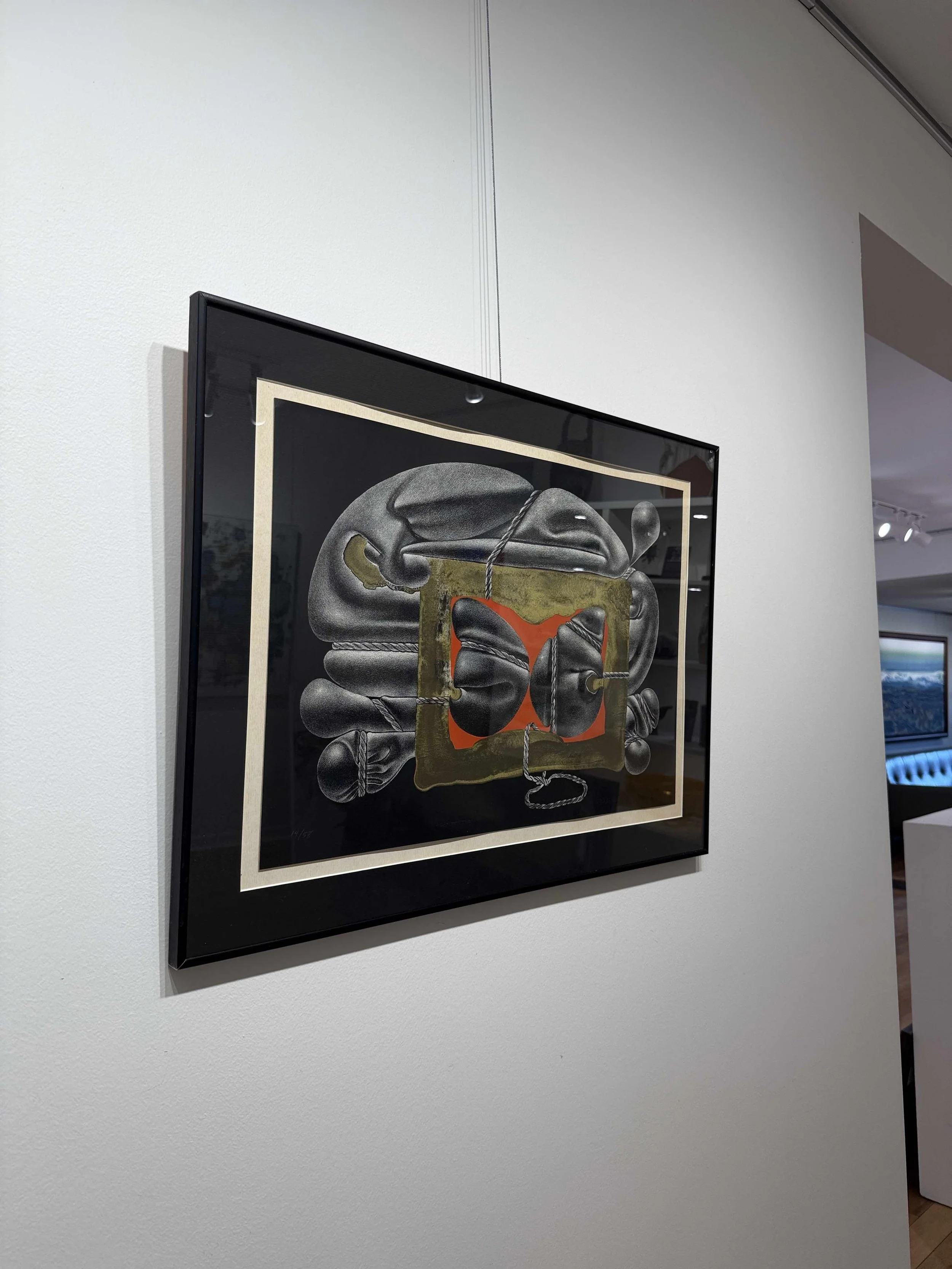 Photo 2026-02-19, 12 21 29 PM.jpg