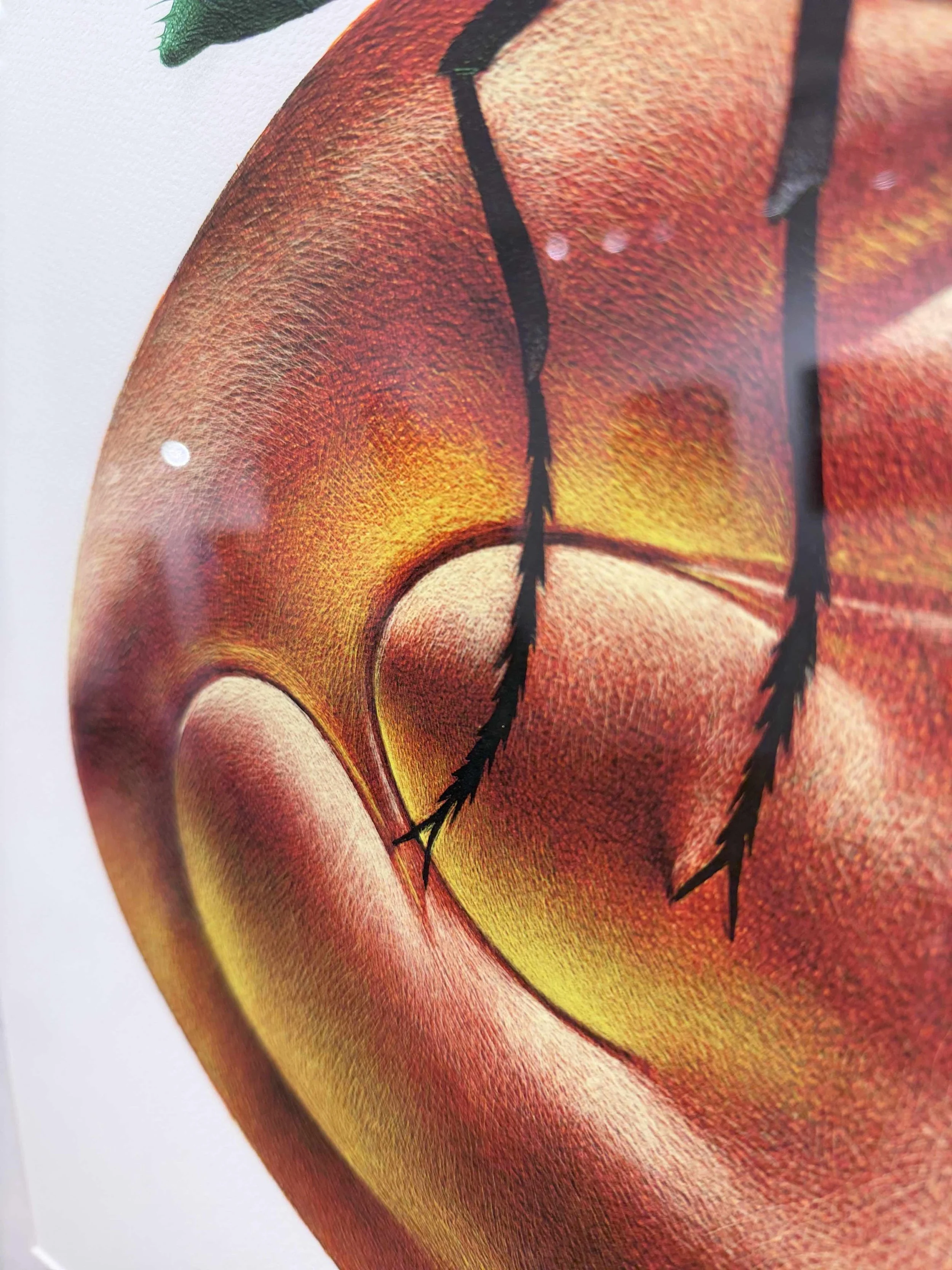 Photo 2026-02-18, 3 17 58 PM.jpg