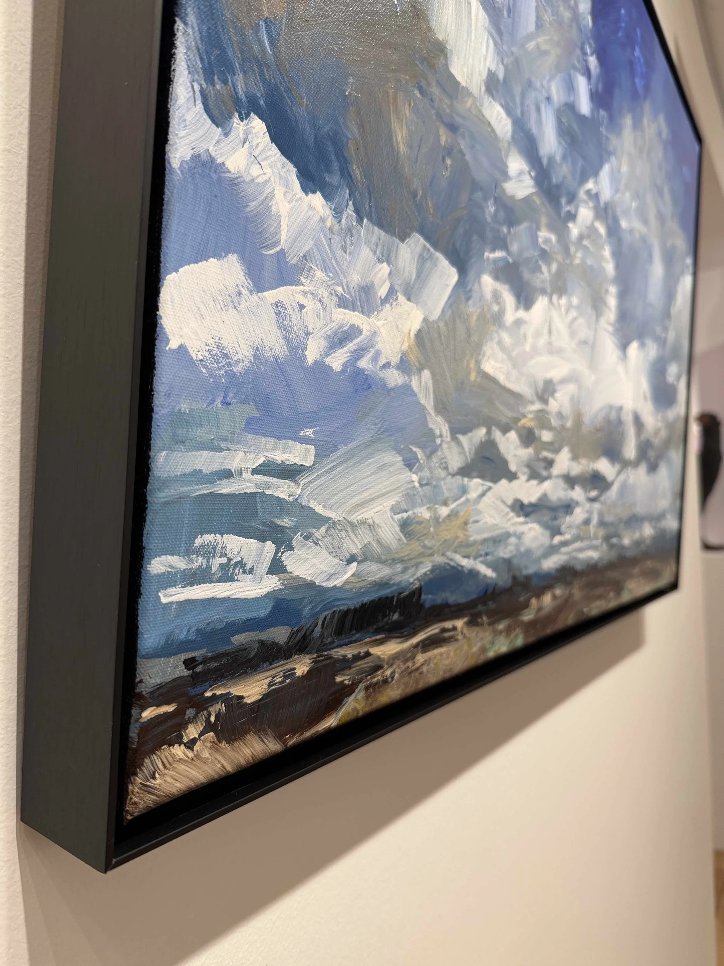 Photo 2026-02-17, 10 41 56 AM.jpg