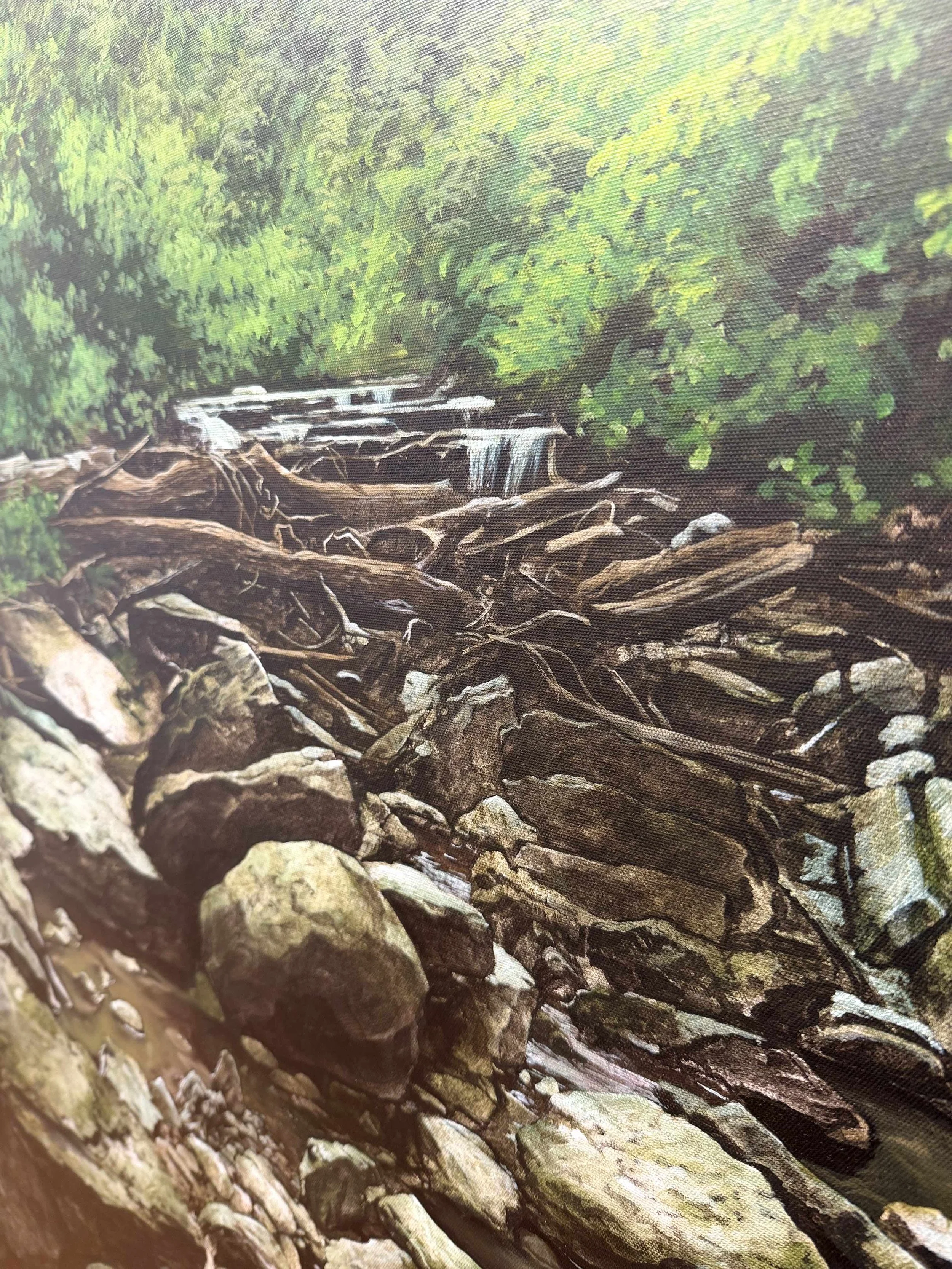 Photo 2026-03-24, 2 36 23 PM.jpg