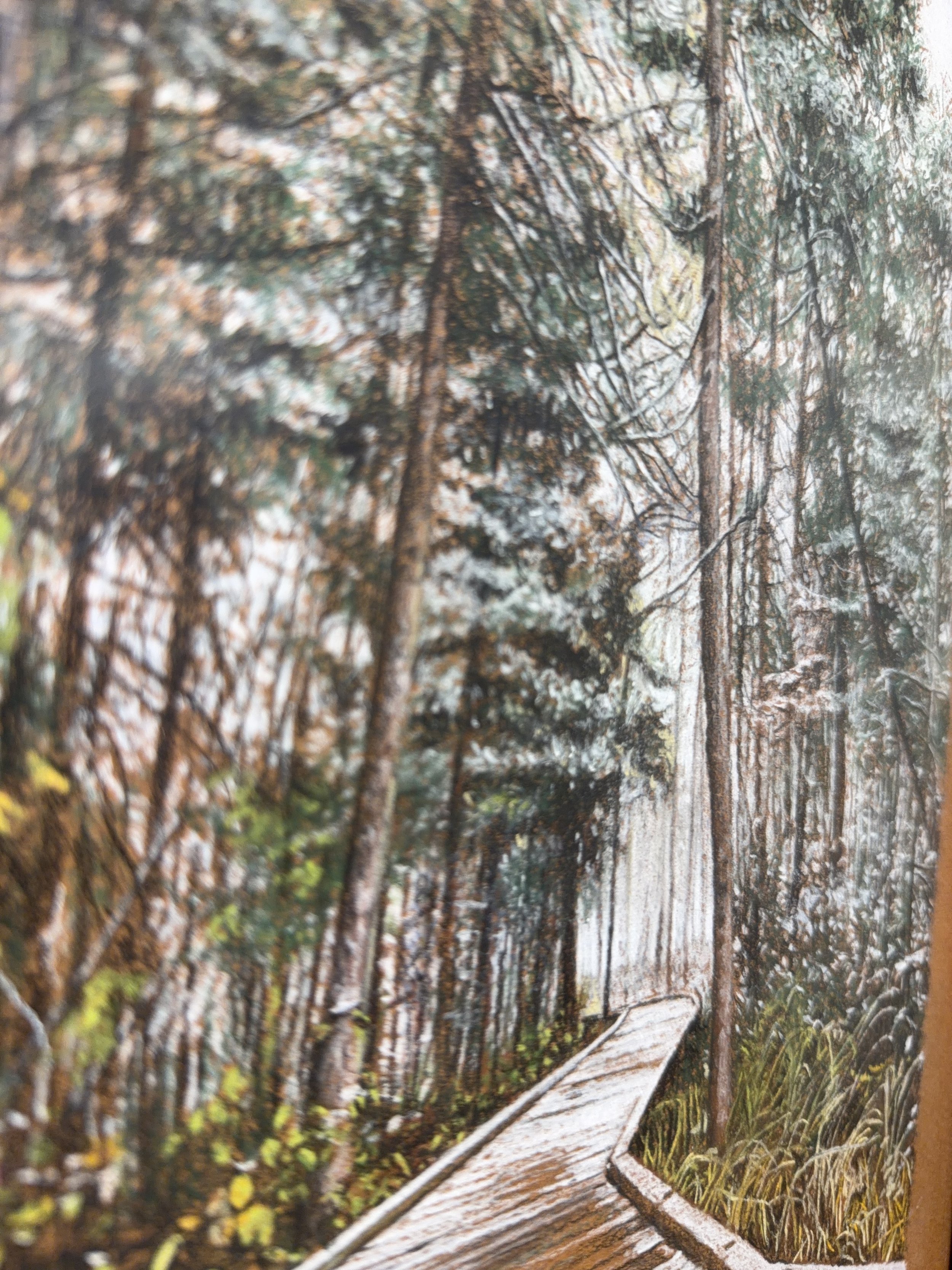 Photo 2026-01-23, 11 44 35 AM.jpg