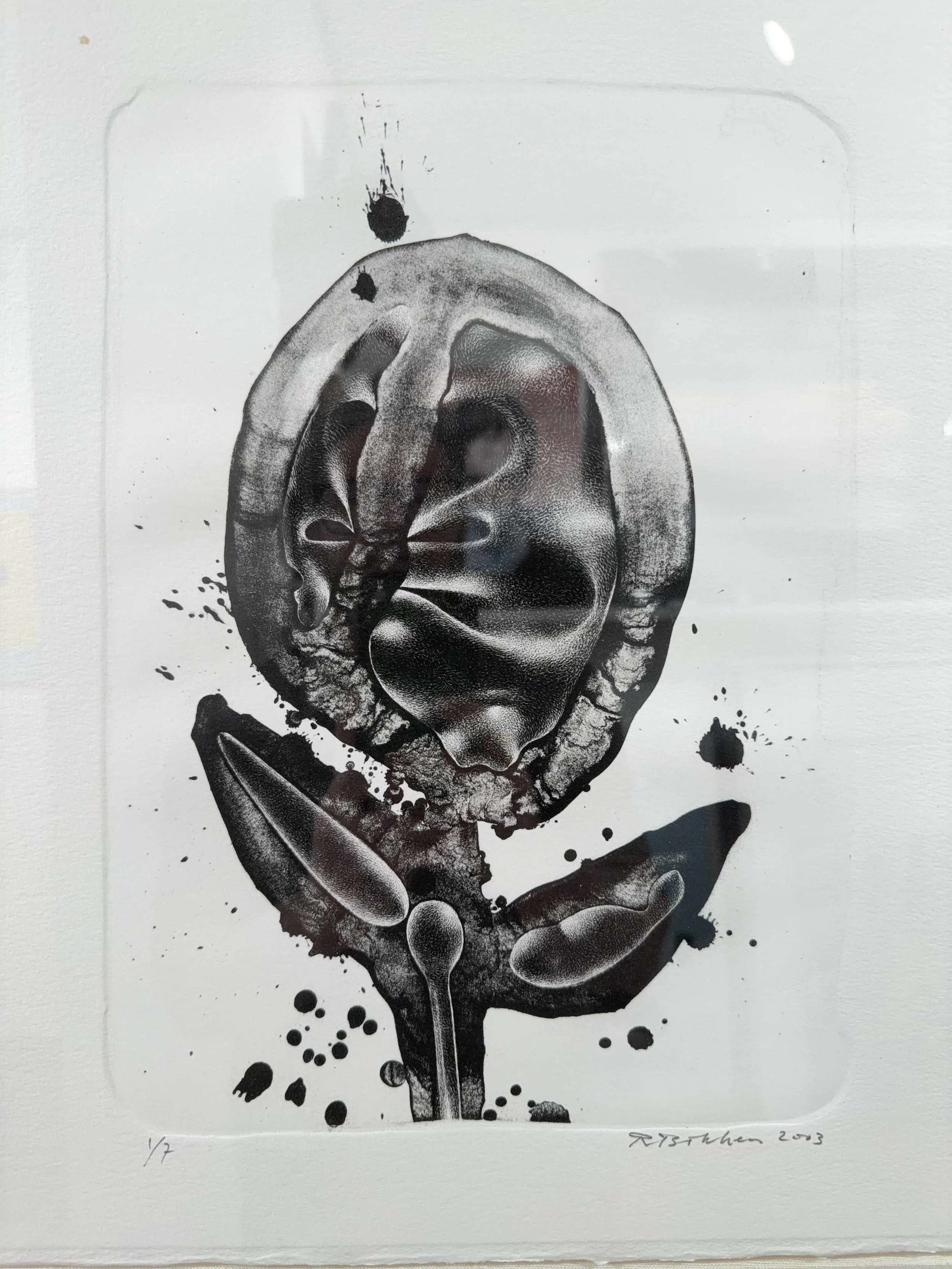 Photo 2026-04-10, 2 05 18 PM.jpg