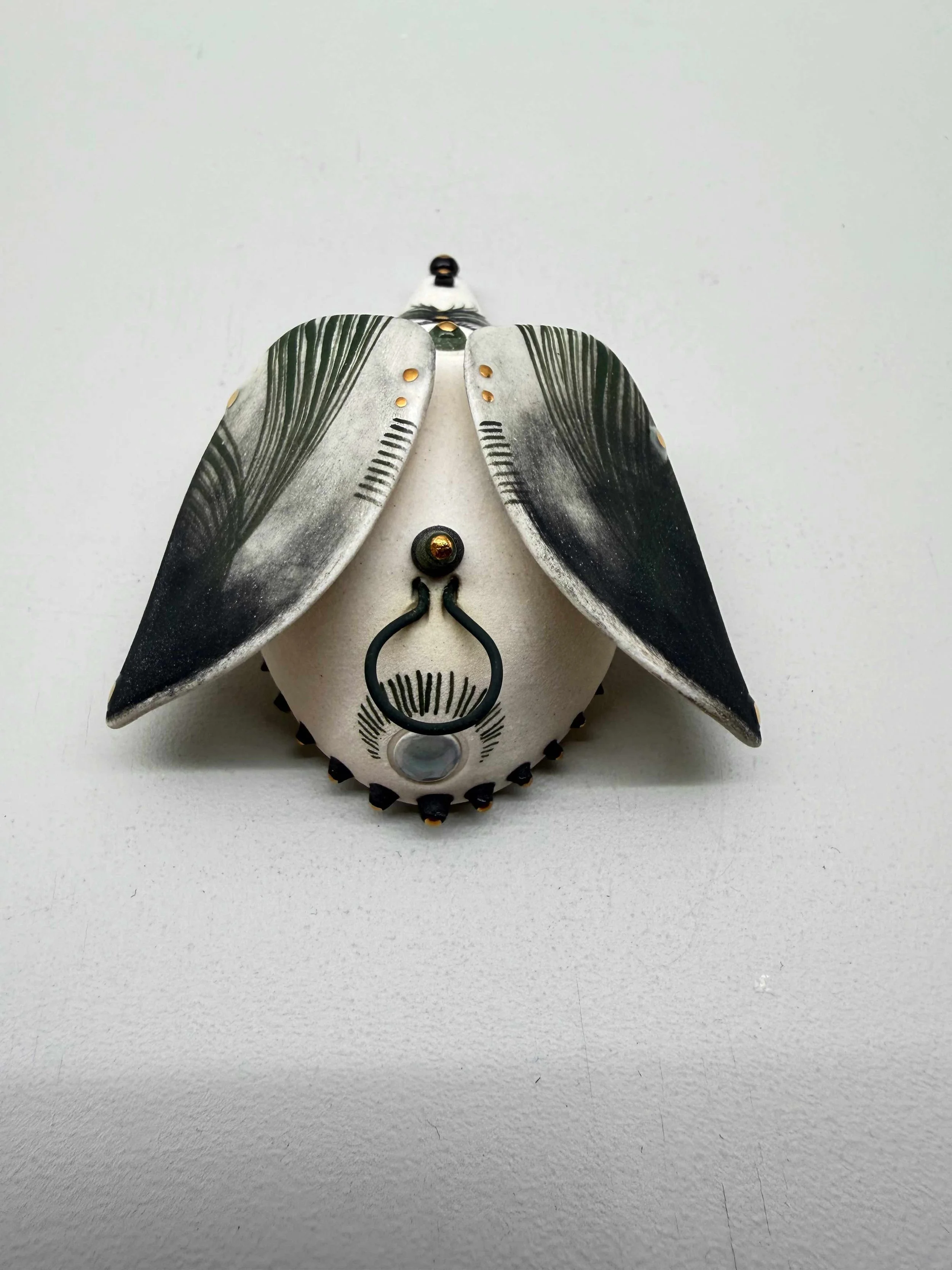 Photo 2026-02-12, 2 31 33 PM.jpg