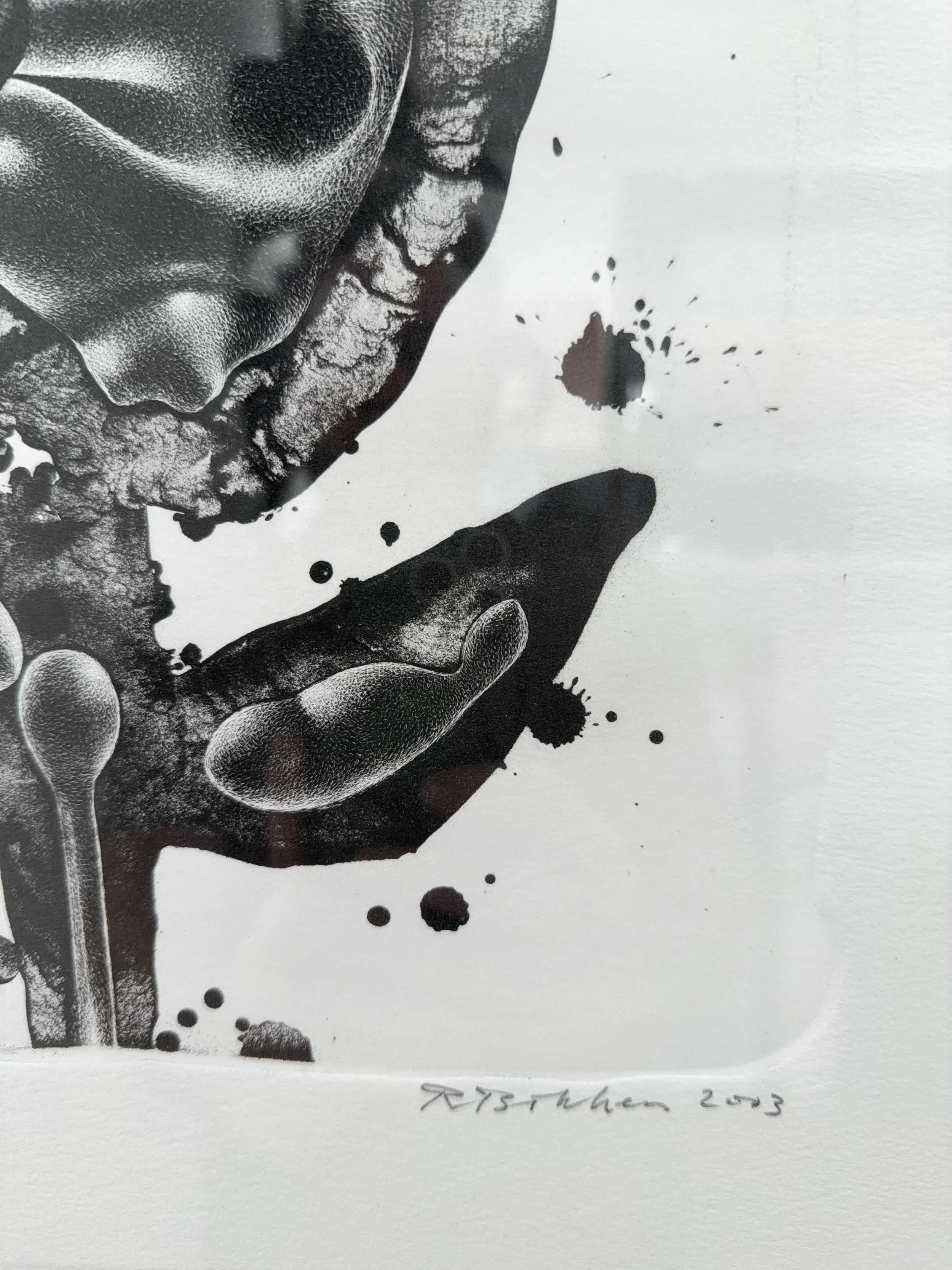 Photo 2026-04-10, 2 05 25 PM.jpg