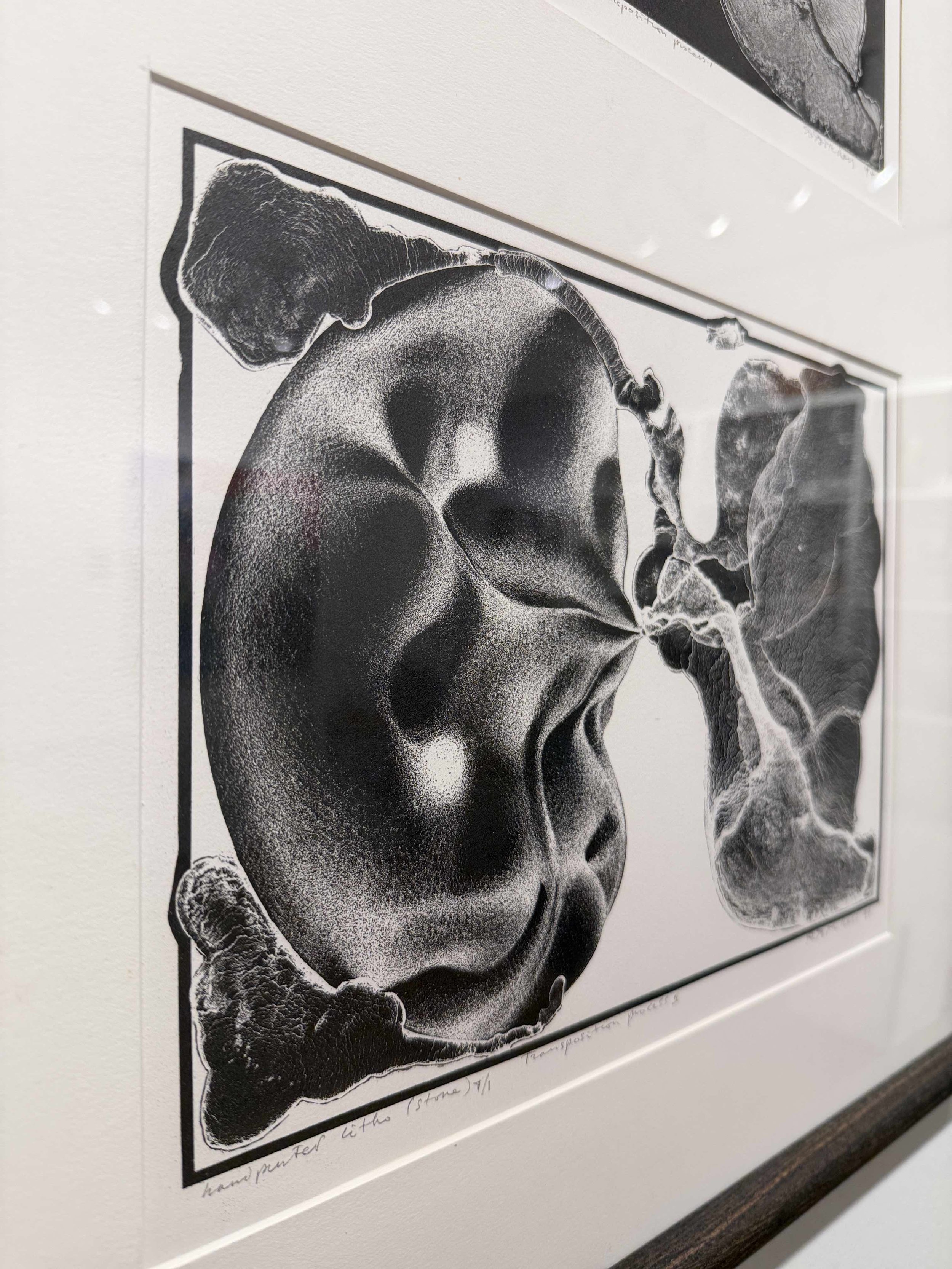 Photo 2026-02-13, 10 40 07 AM.jpg